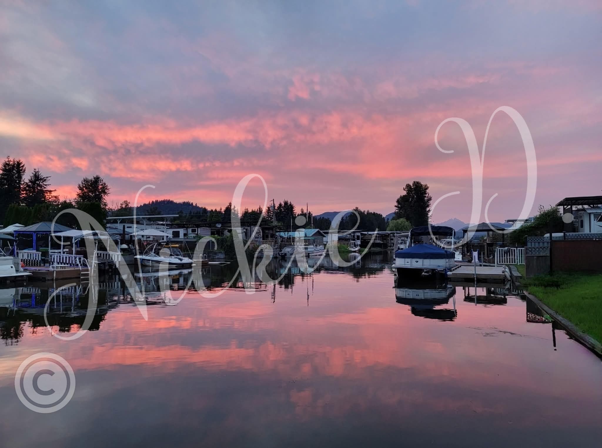 297 - 8400 Shook Road, Mission, V2V 7L3 — photo 4