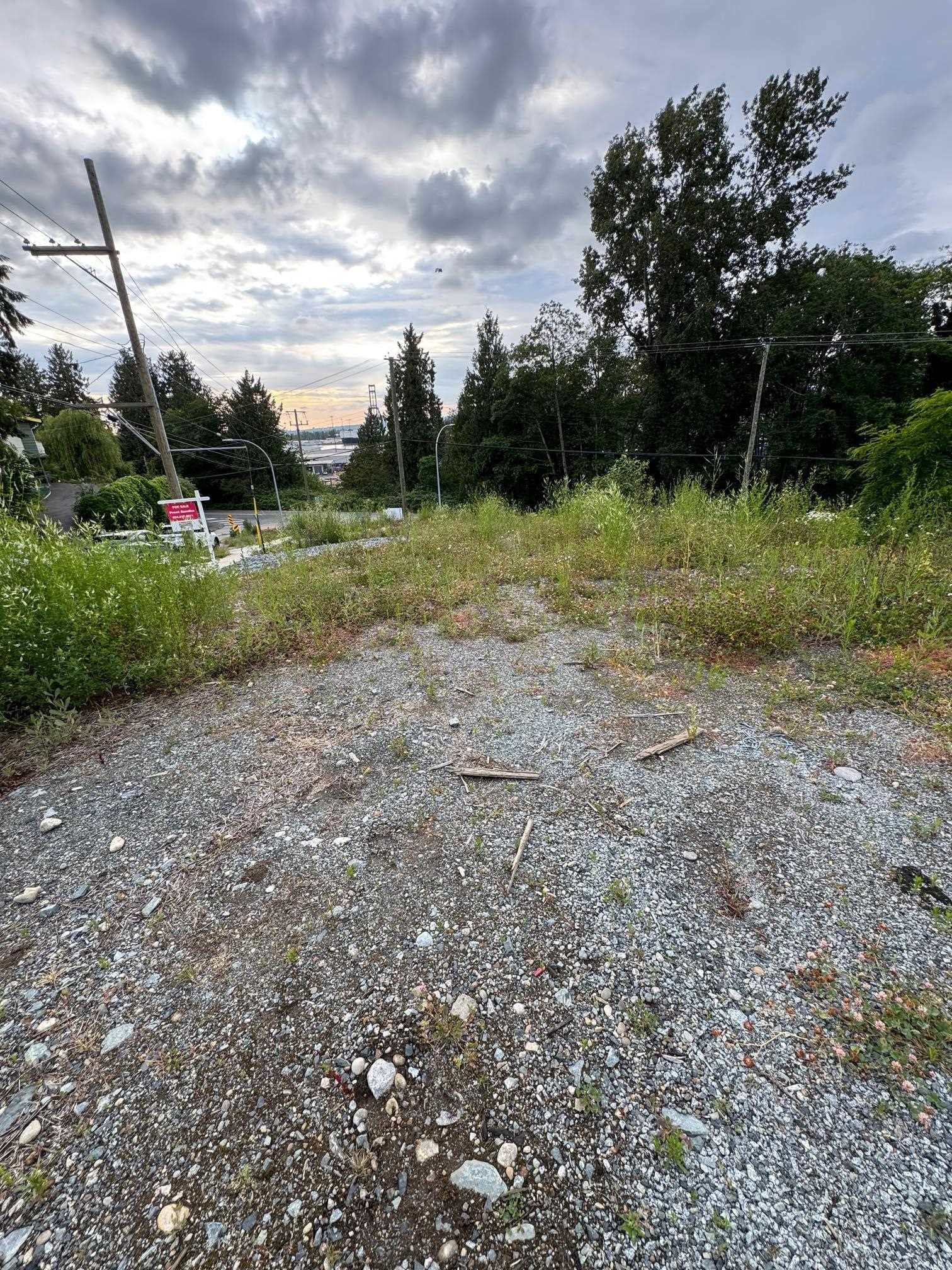 11433 Millar Road, Surrey