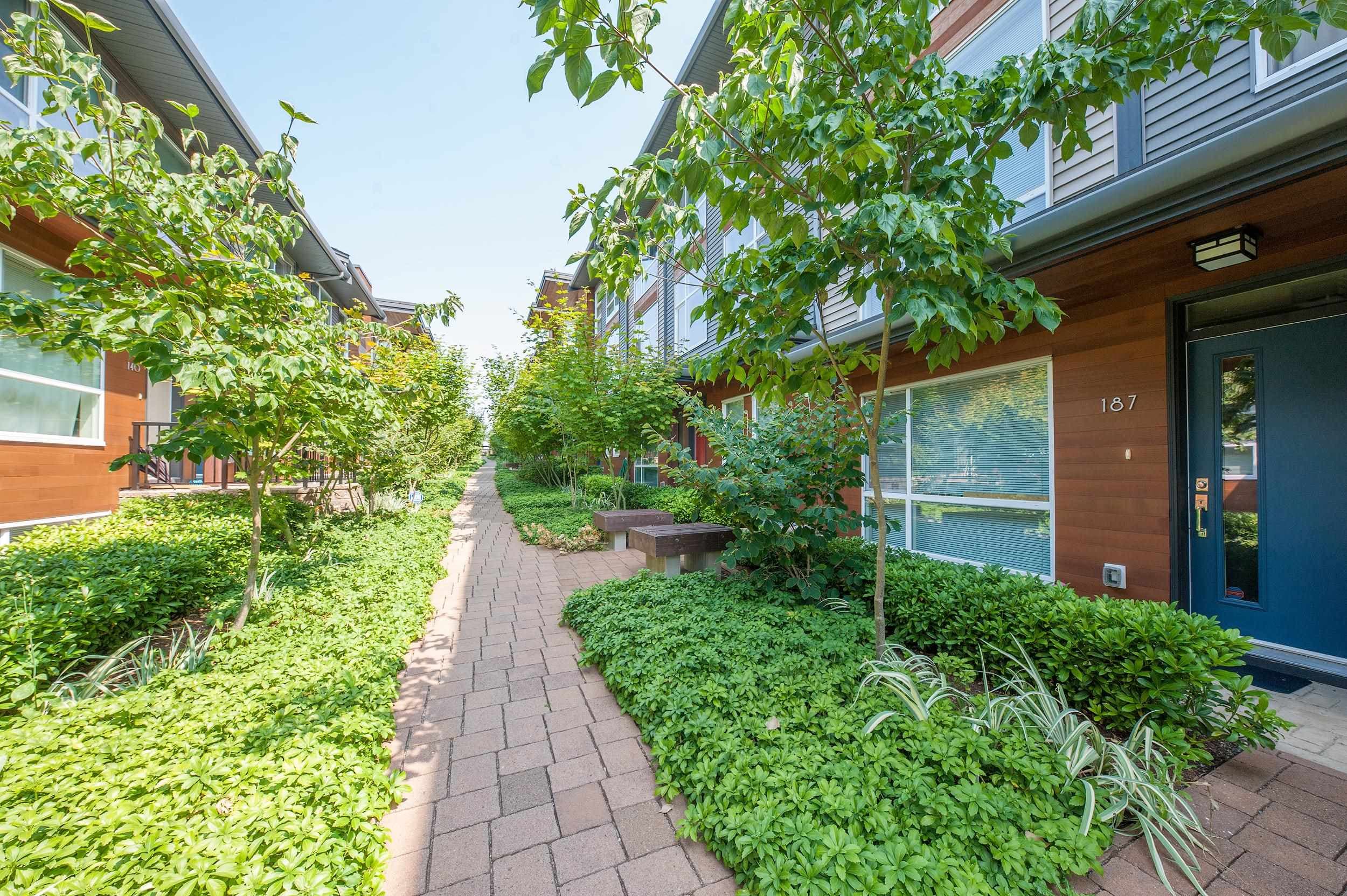 185 - 2228 162 Street, Surrey, V3Z 6P4 — photo 2