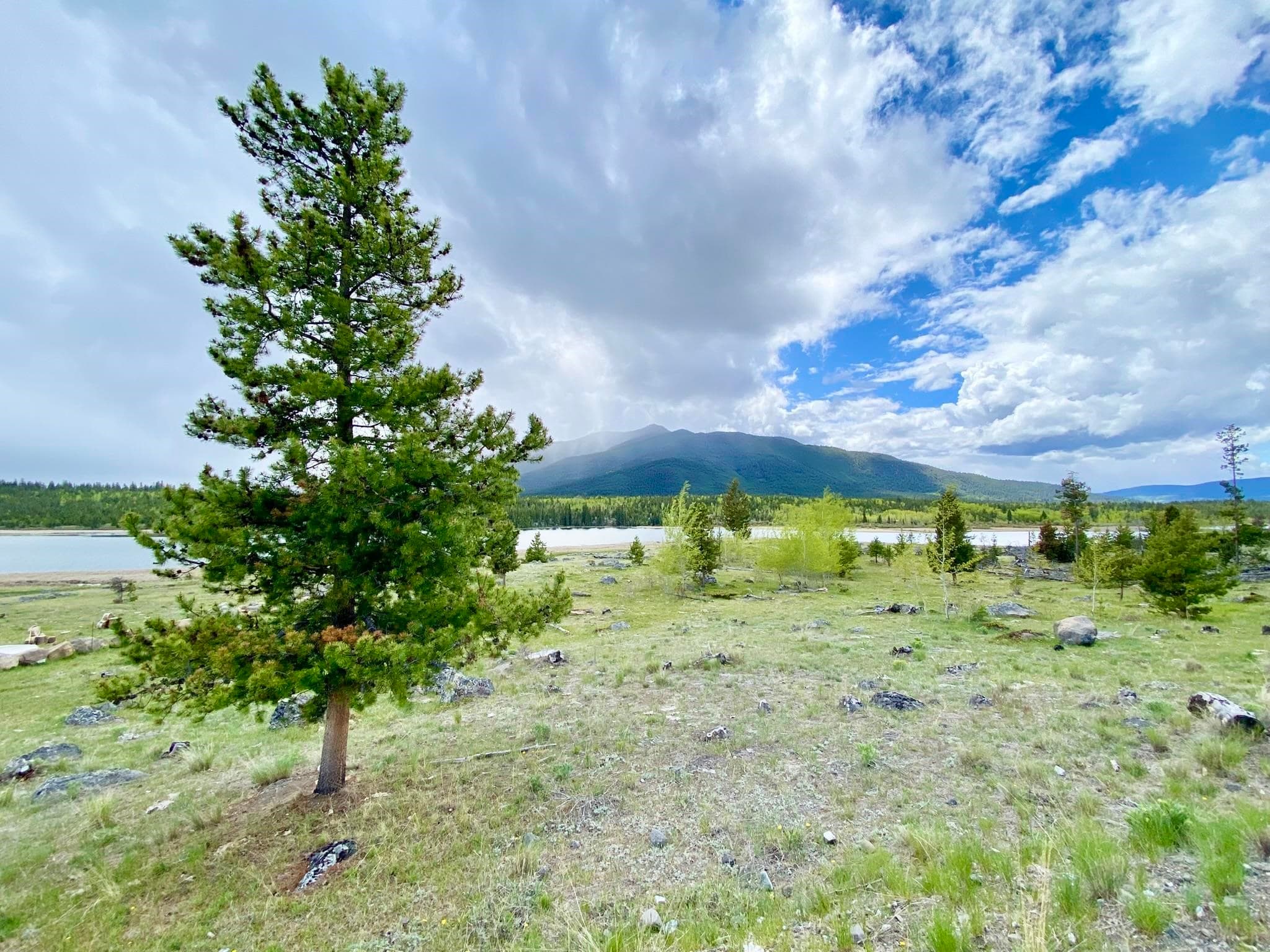3193 Little Big Bar Road, No City Value, V0K 1K0 — photo 4