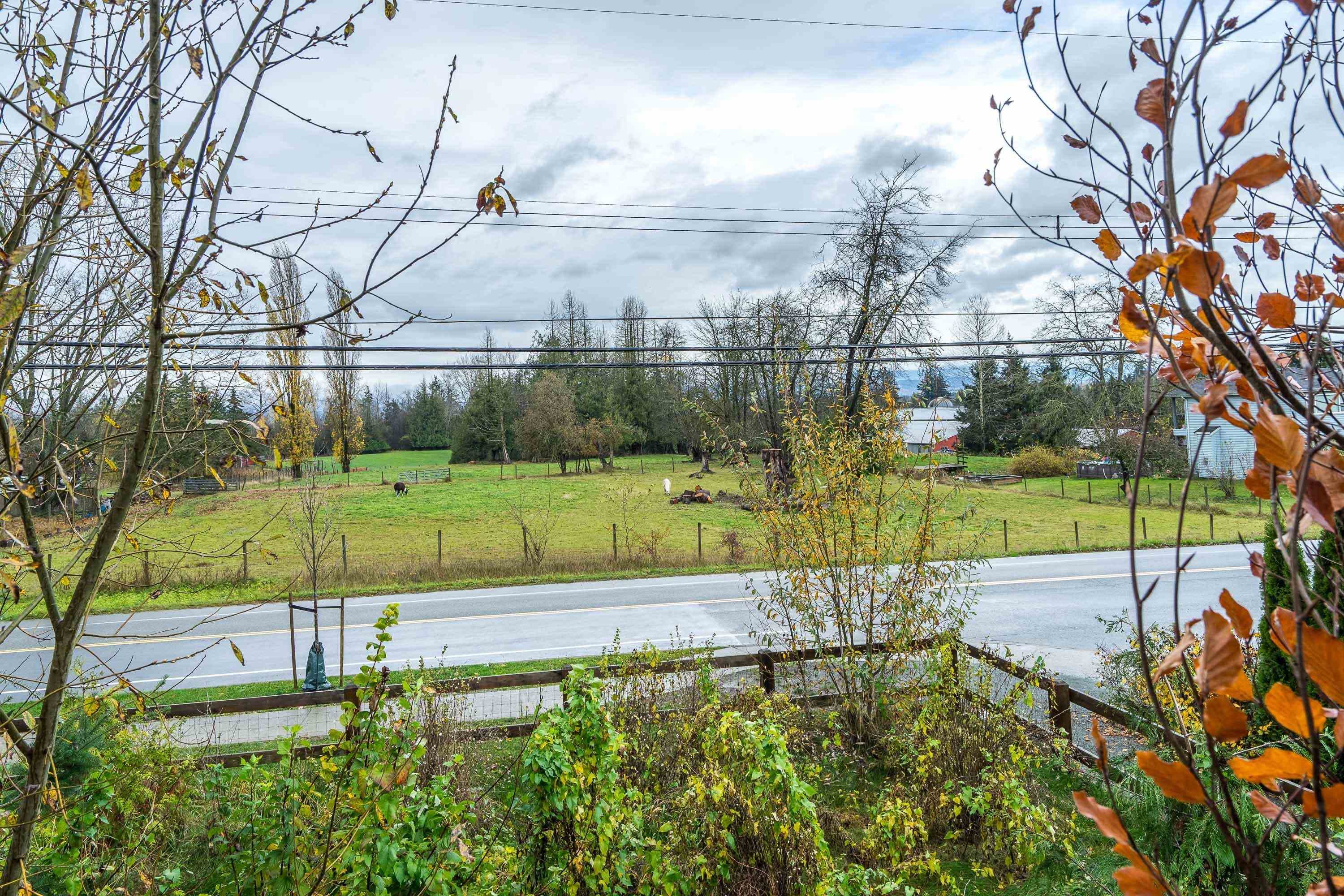 36 - 4750 228 Street, Langley, V2Z 0A9 — photo 5