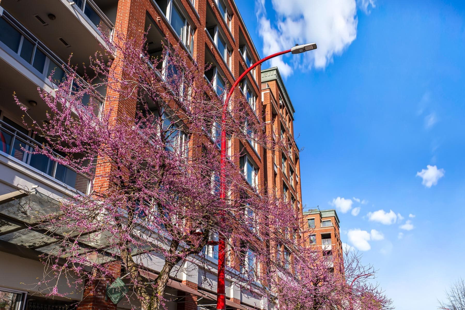 306 - 221 Union Street, Vancouver, V6A 0B4 — photo 4