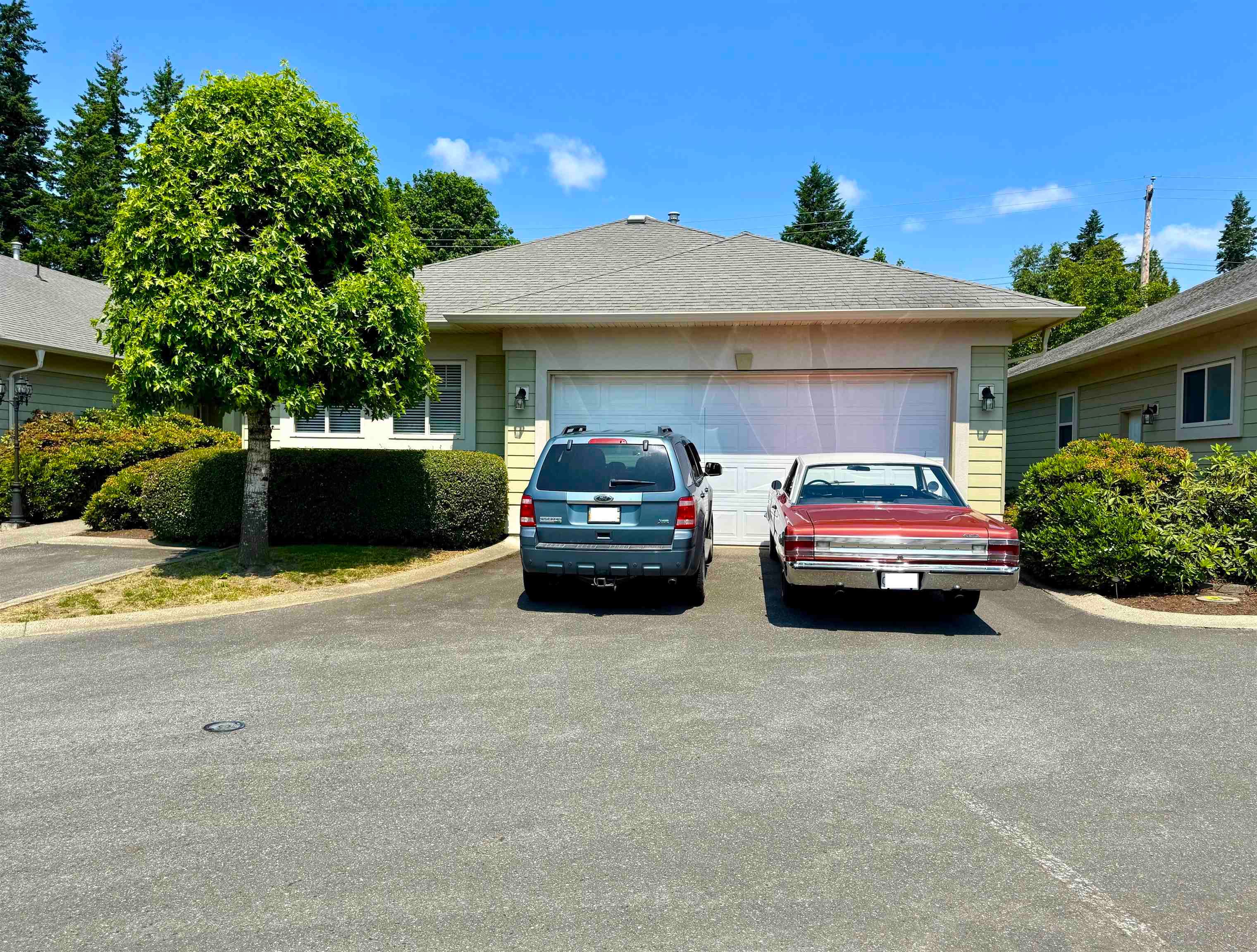 14 - 34159 Fraser Street, Abbotsford, V2S 8P2 — photo 2