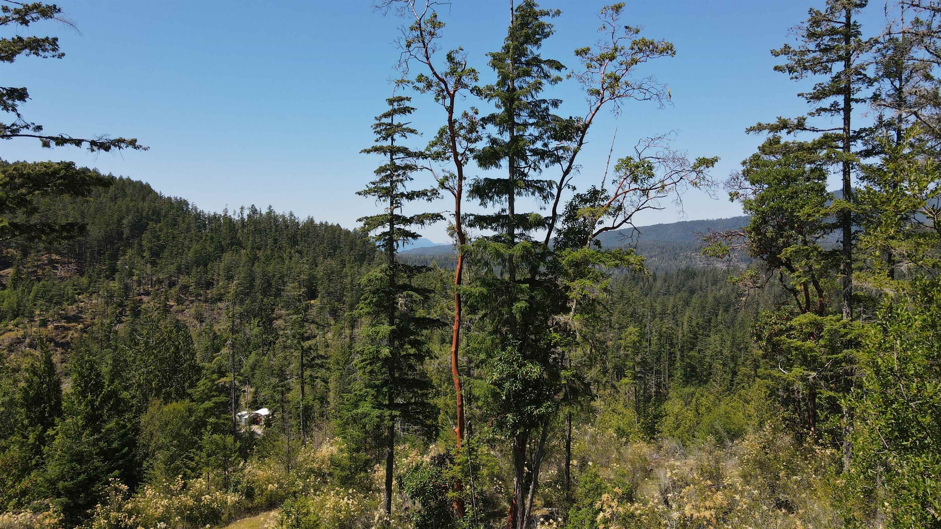 Lot 5 - 13803 Lee Road, Pender Harbour, V0N 1S1 — photo 4