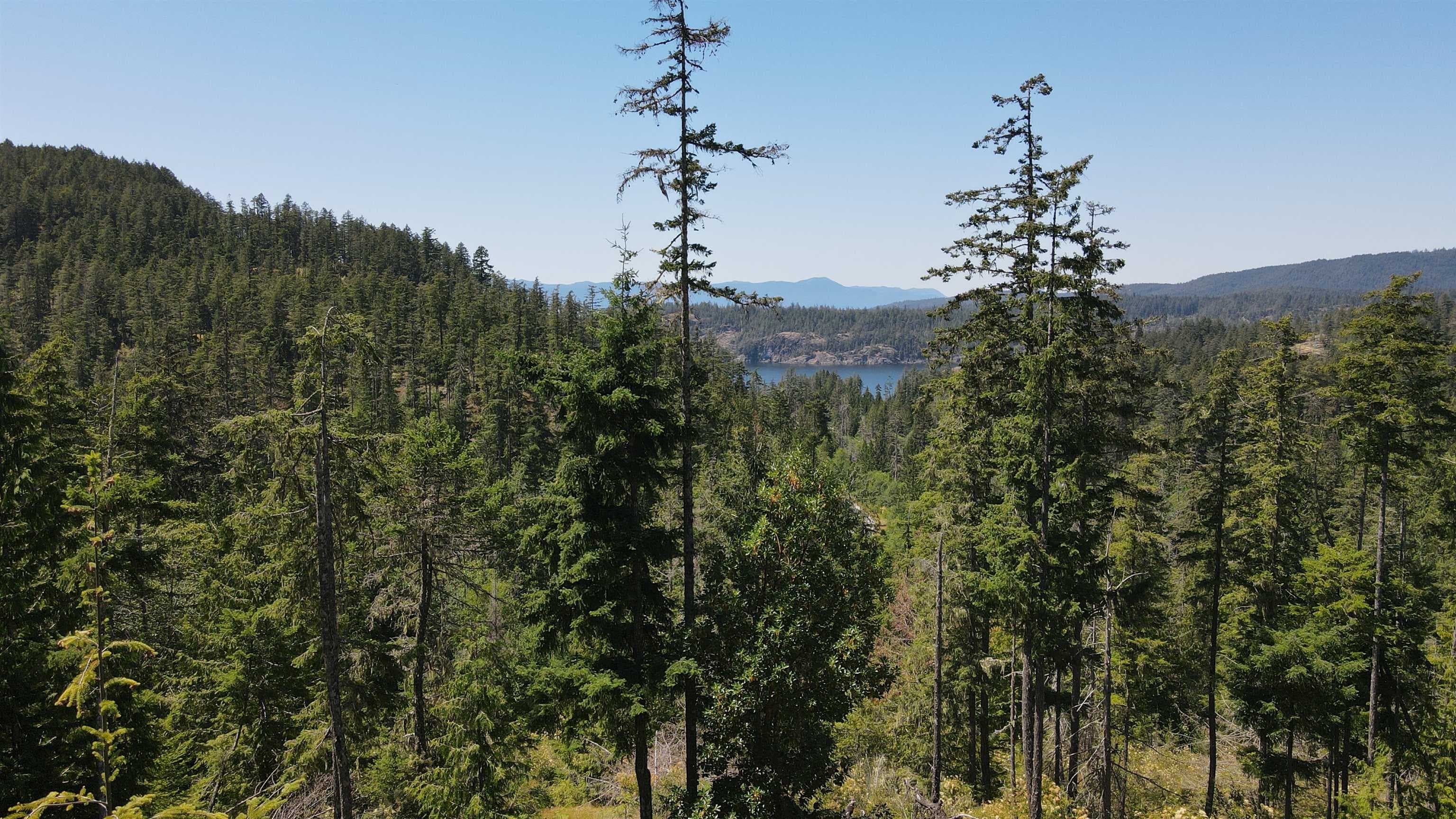 Lot 9 - 13803 Lee Road, Pender Harbour, V0N 1S1 — photo 2