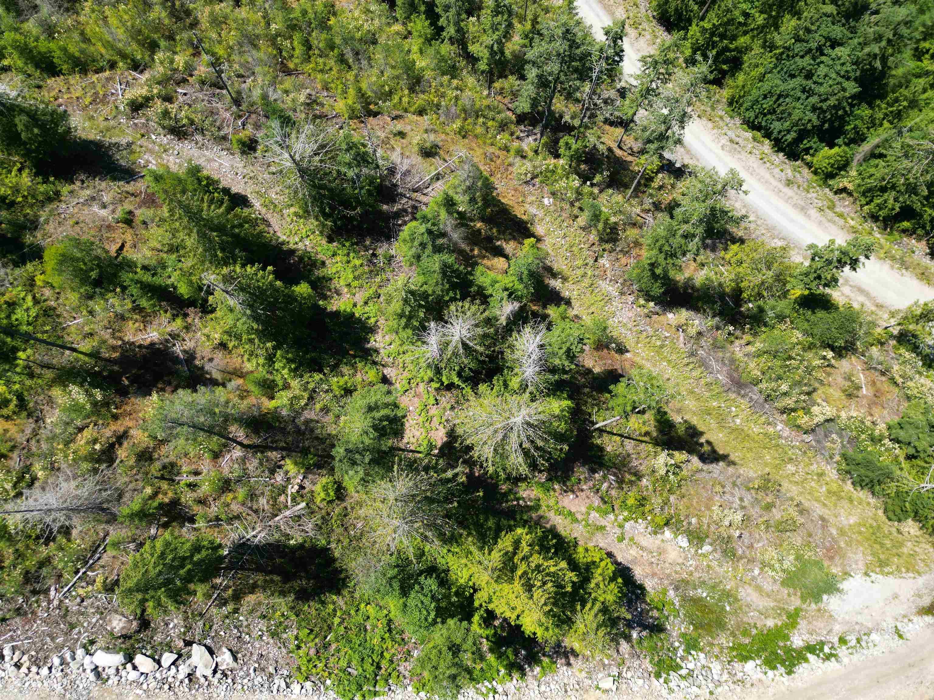 Lot 12 - 13803 Lee Road, Pender Harbour, V0N 1S1 — photo 5