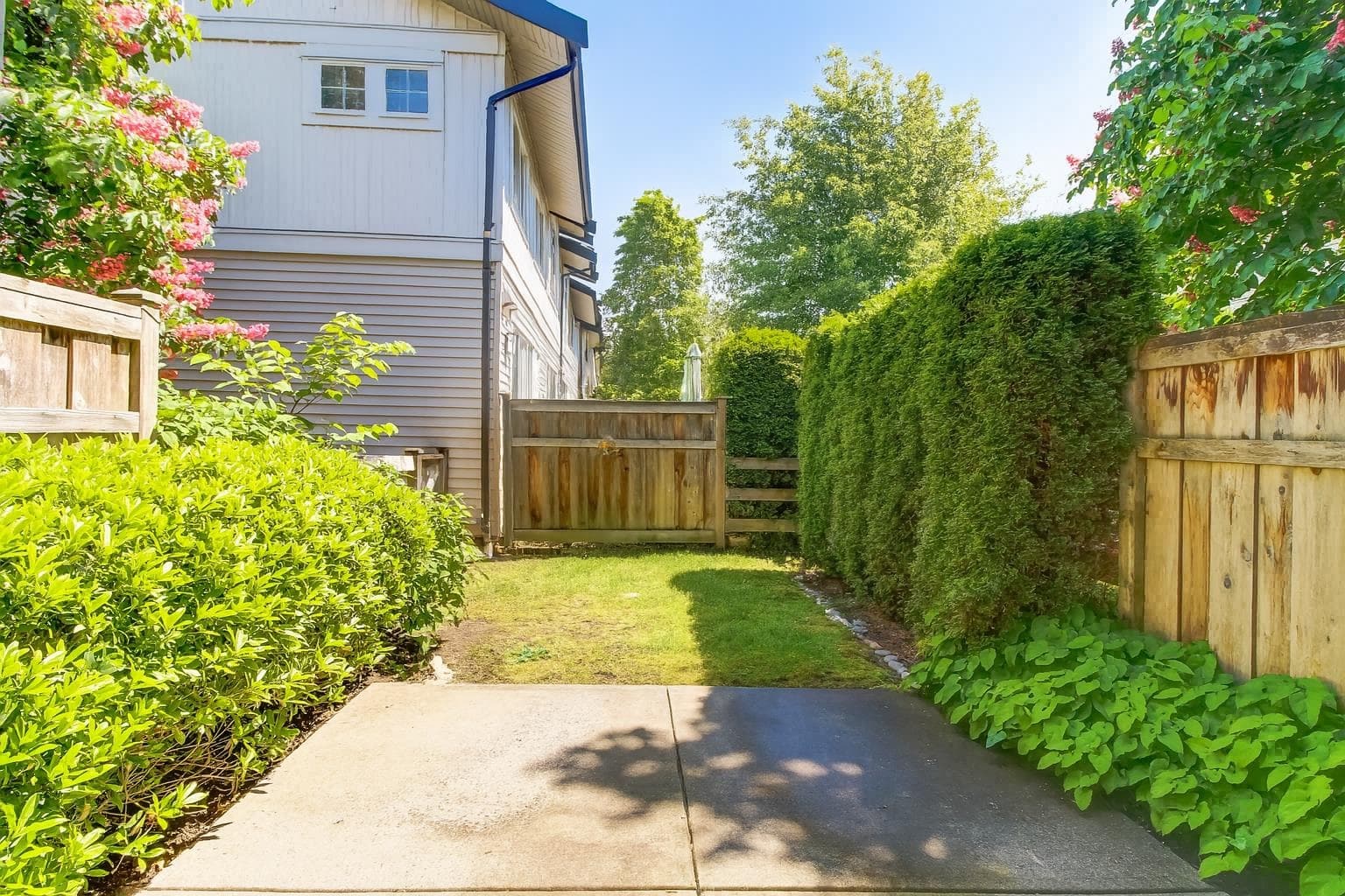 167 - 2450 161a Street, Surrey, V3Z 8K4 — photo 2