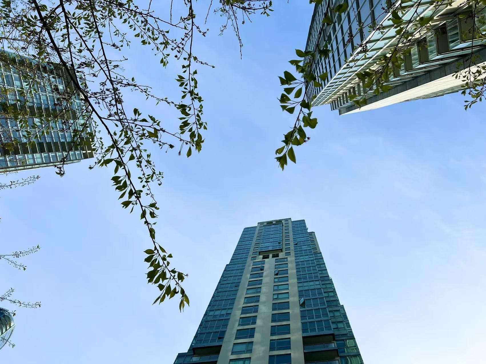 1706 - 1238 Melville Street, Vancouver, V6E 4N2 — photo 4