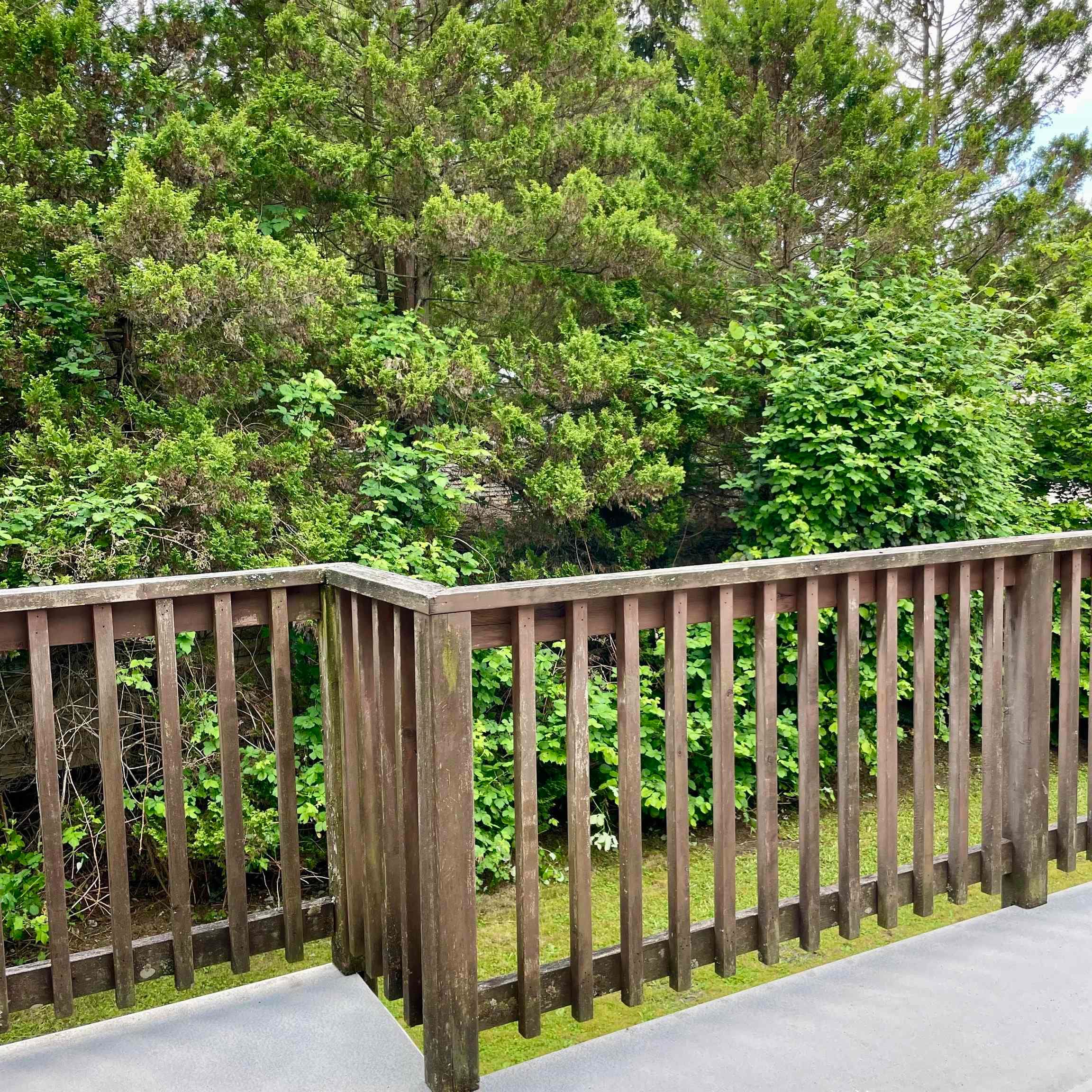 21854 Lougheed Highway, Maple Ridge, V2X 2S3 — photo 5