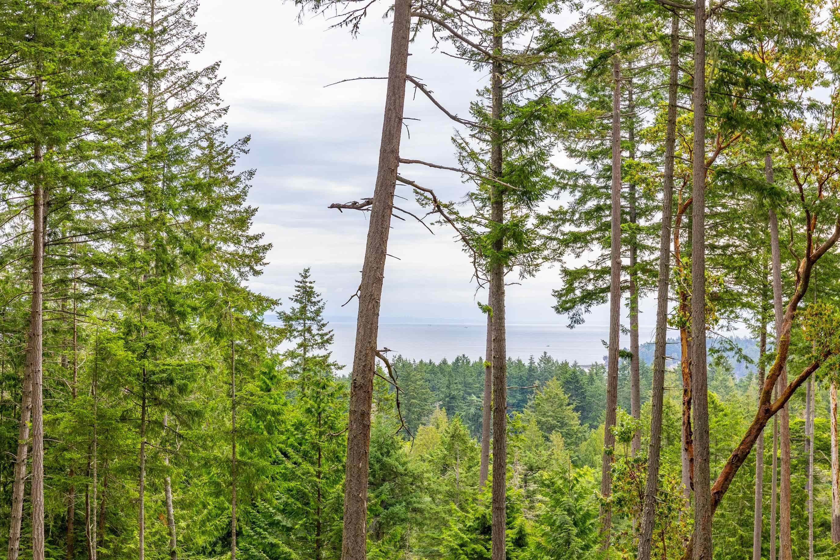 2-861 E Bluff Road, Galiano Island