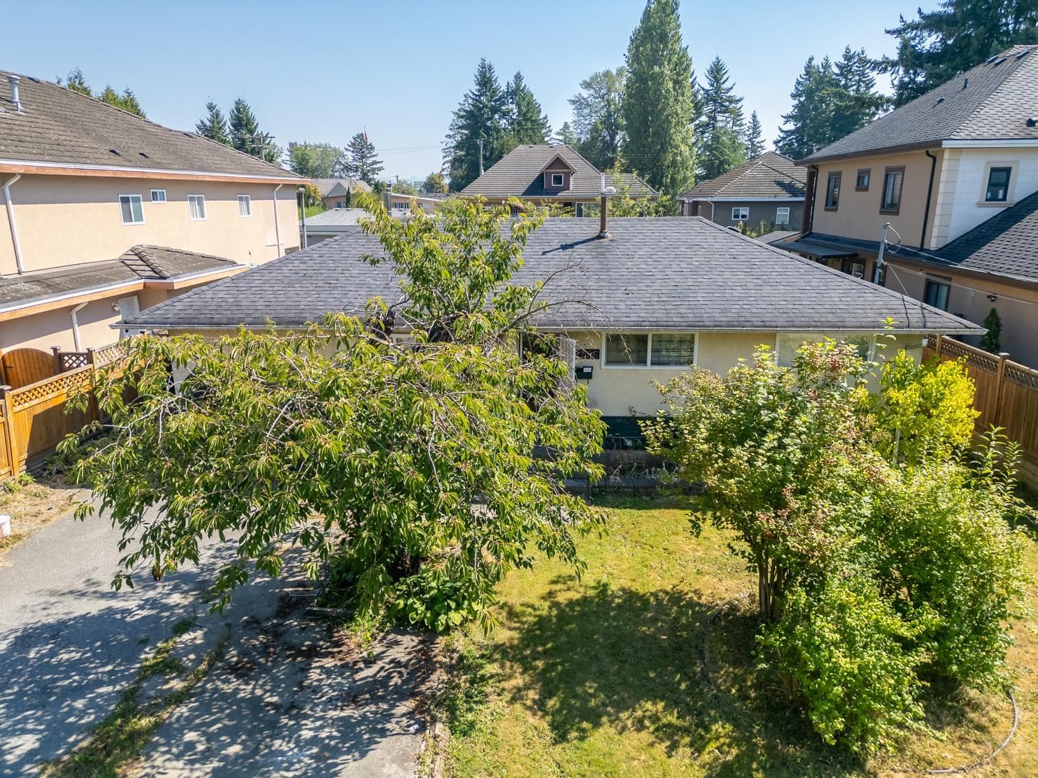 10286 148a Street, Surrey, V3R 3Z2 — photo 3