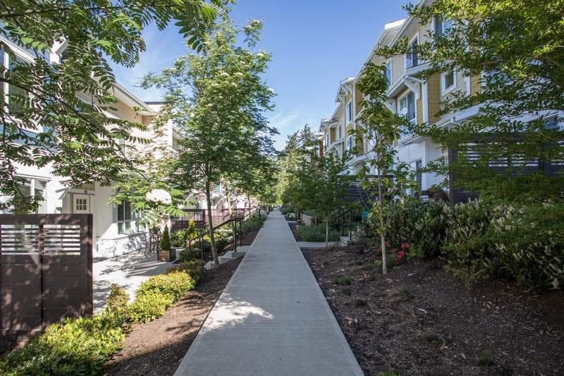 44 - 16561 17a Avenue, Surrey, V3Z 1J3 — photo 4