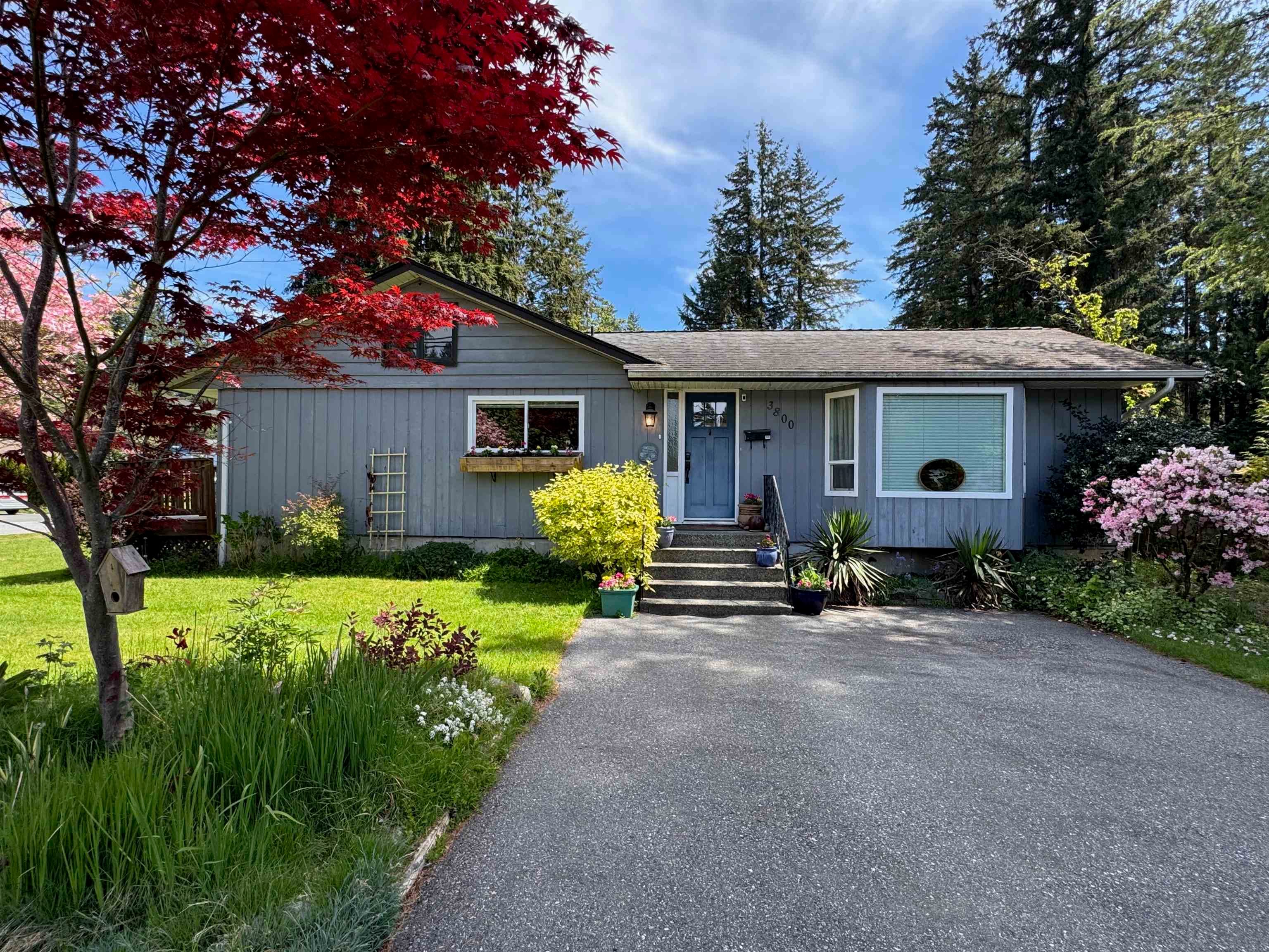 3800 204 Street, Langley, V3A 1X4 — photo 2