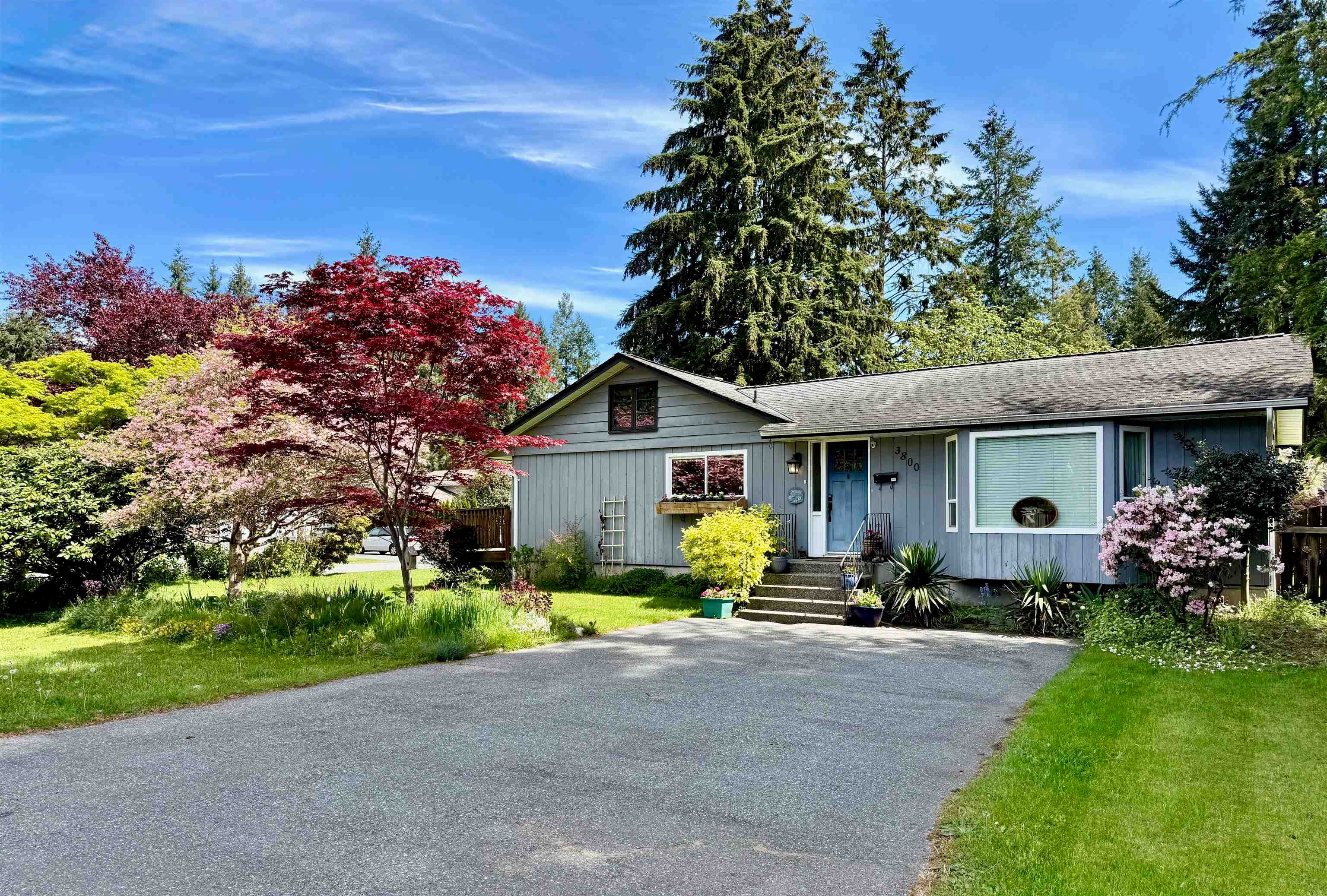 3800 204 Street, Langley, V3A 1X4 — photo 3
