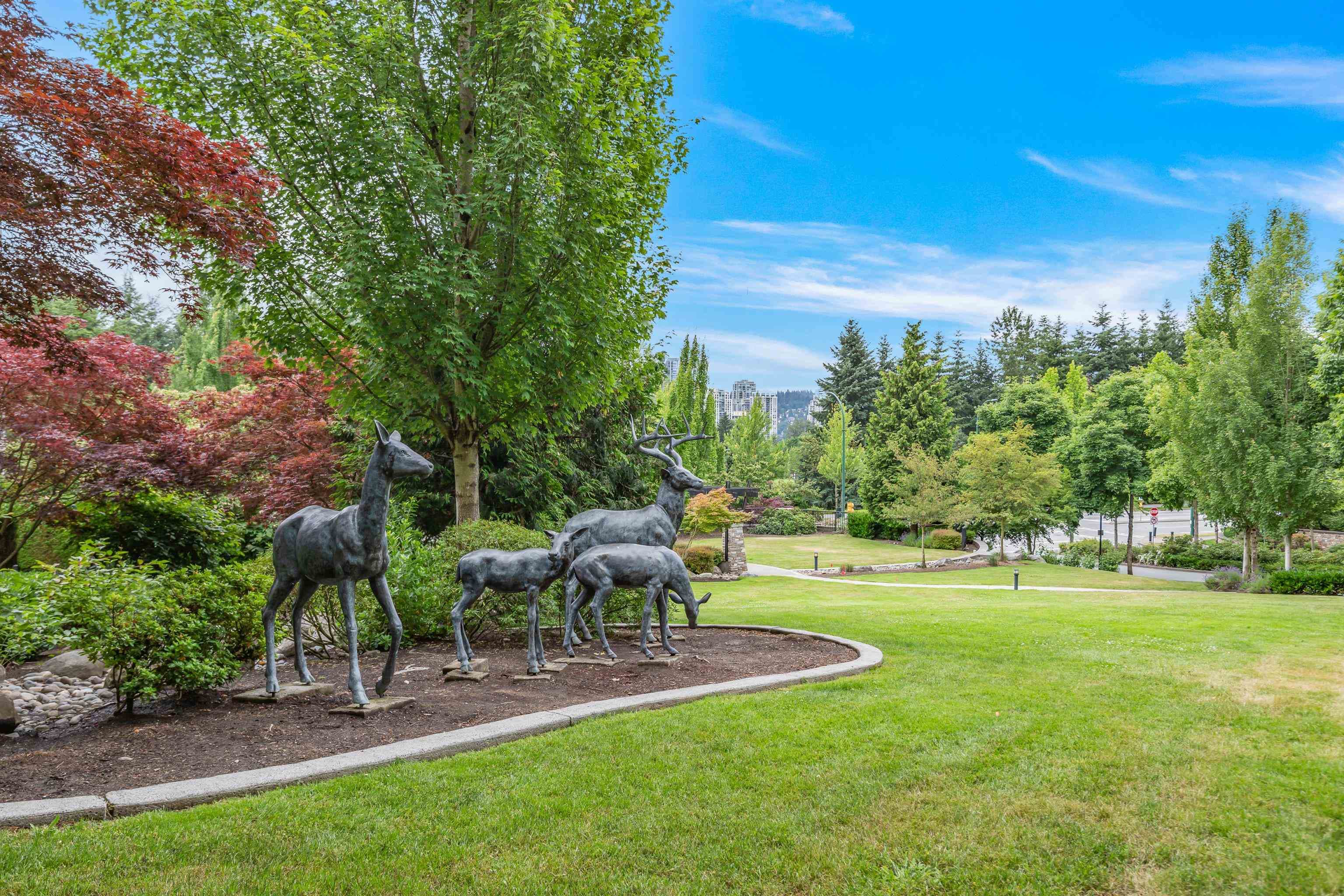 305 - 3156 Dayanee Springs Boulevard, Coquitlam, V3E 0B7 — photo 5