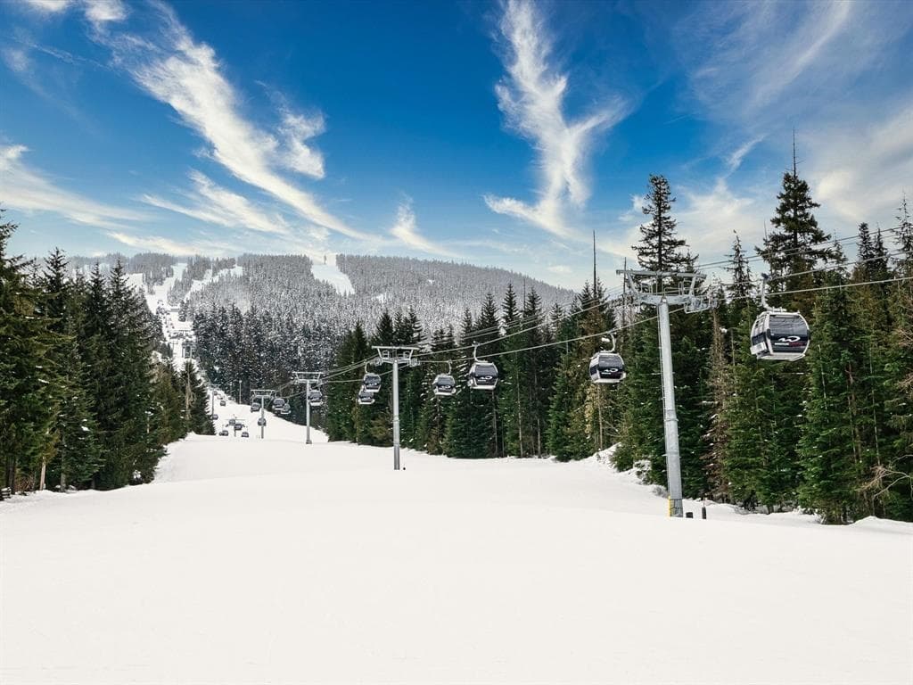 305 - 4800 Spearhead Drive, Whistler, V8E 1G1 — photo 3