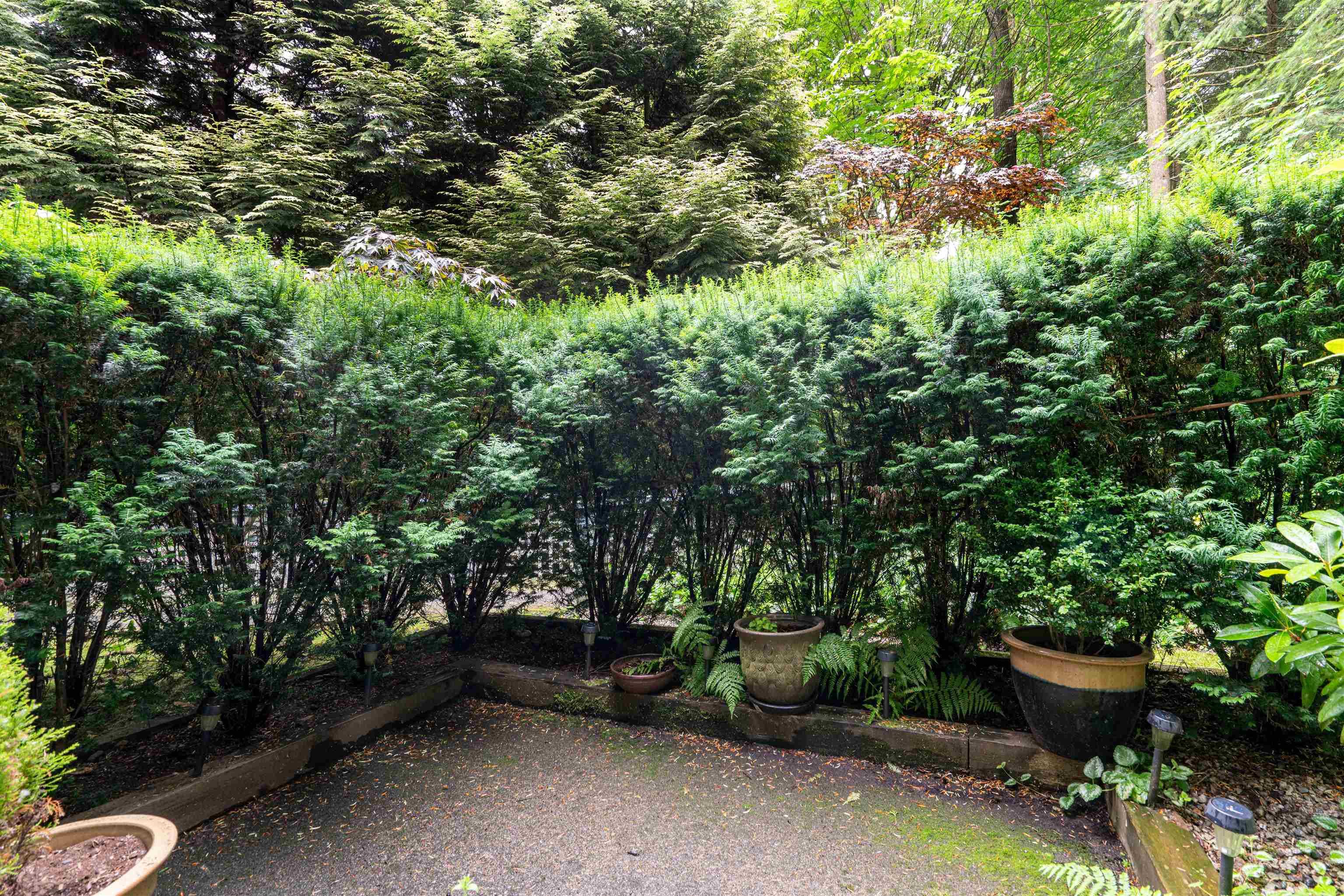 44 - 9000 Ash Grove Crescent, Burnaby, V5A 4M3 — photo 4