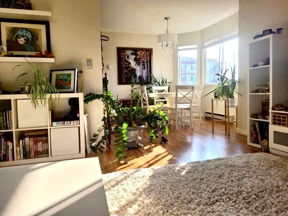 204 - 45604 Brett Avenue, Chilliwack, V2P 1N9 — photo 2