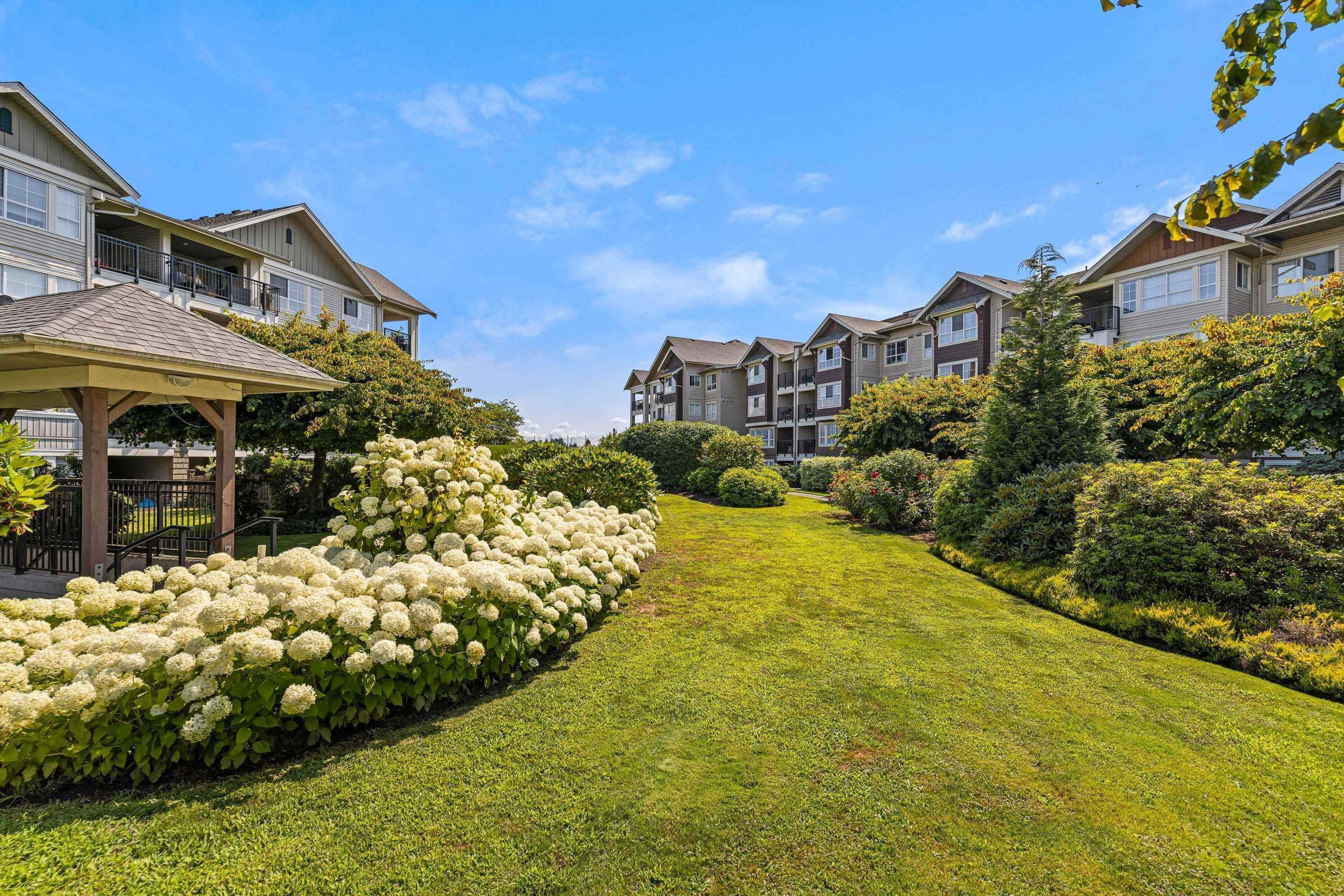 416 - 19673 Meadow Gardens Way, Pitt Meadows, V3Y 0A1 — photo 2