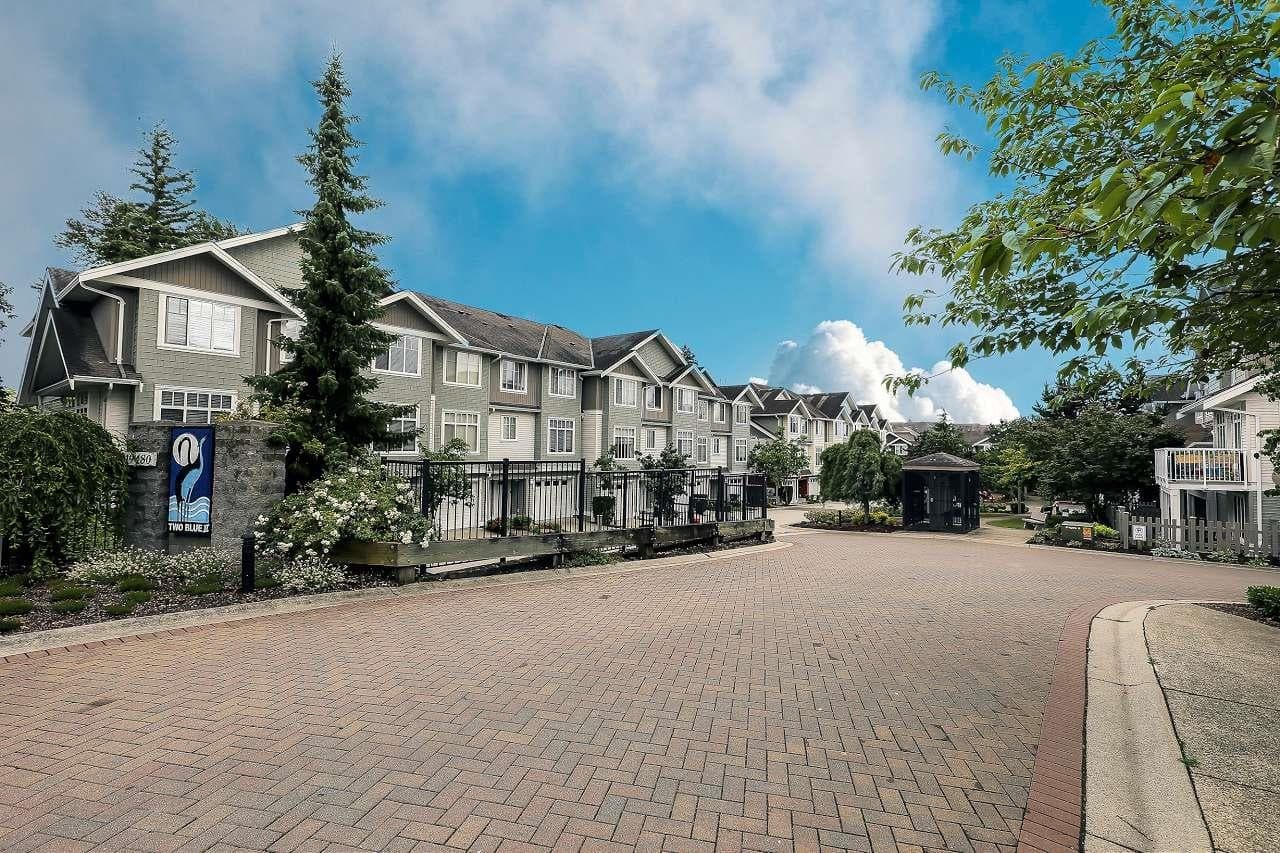 50 - 19480 66 Avenue, Surrey, V4N 5W7 — photo 2