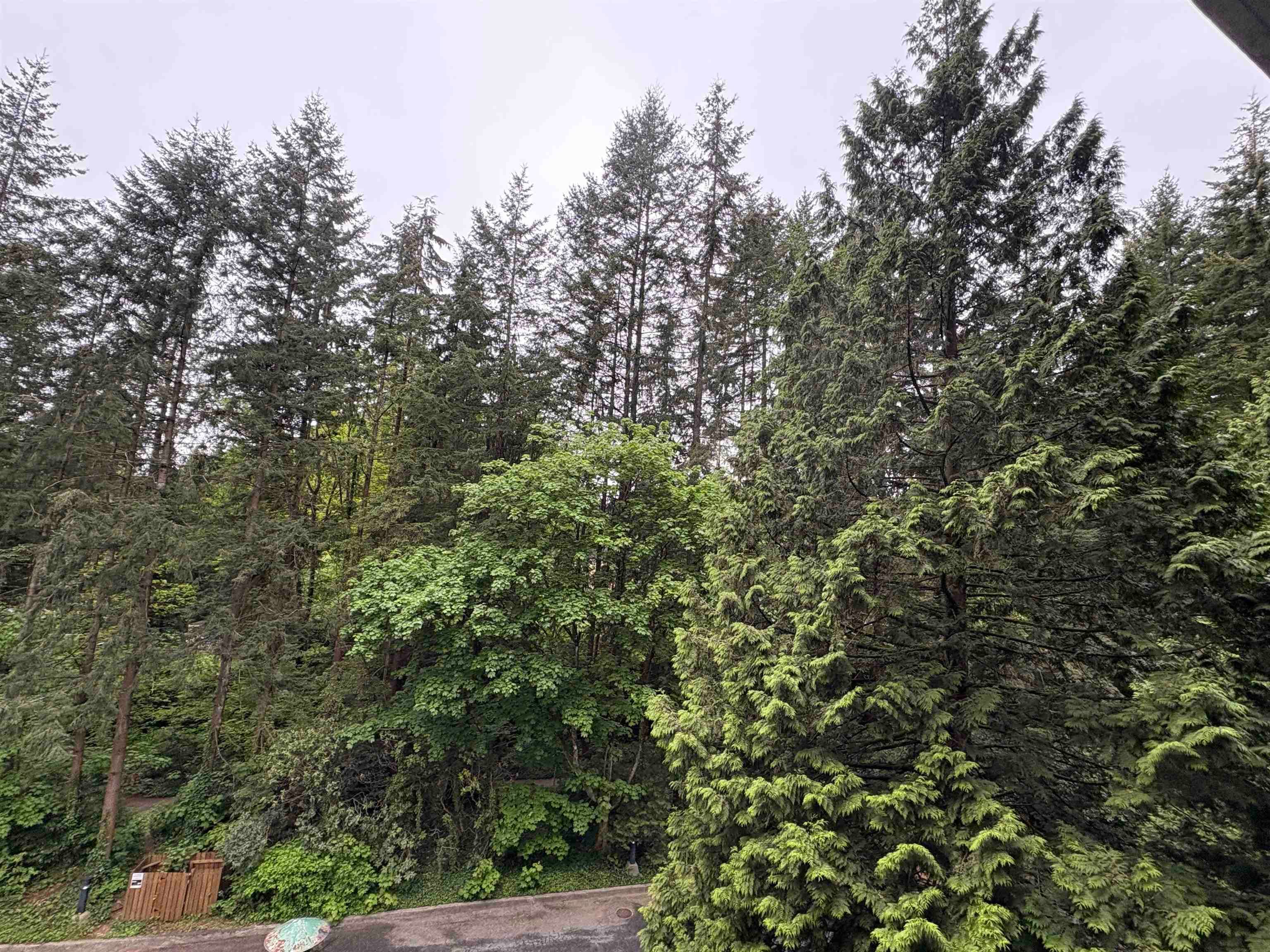508 - 2020 Fullerton Avenue, North Vancouver, V7P 3G3 — photo 3