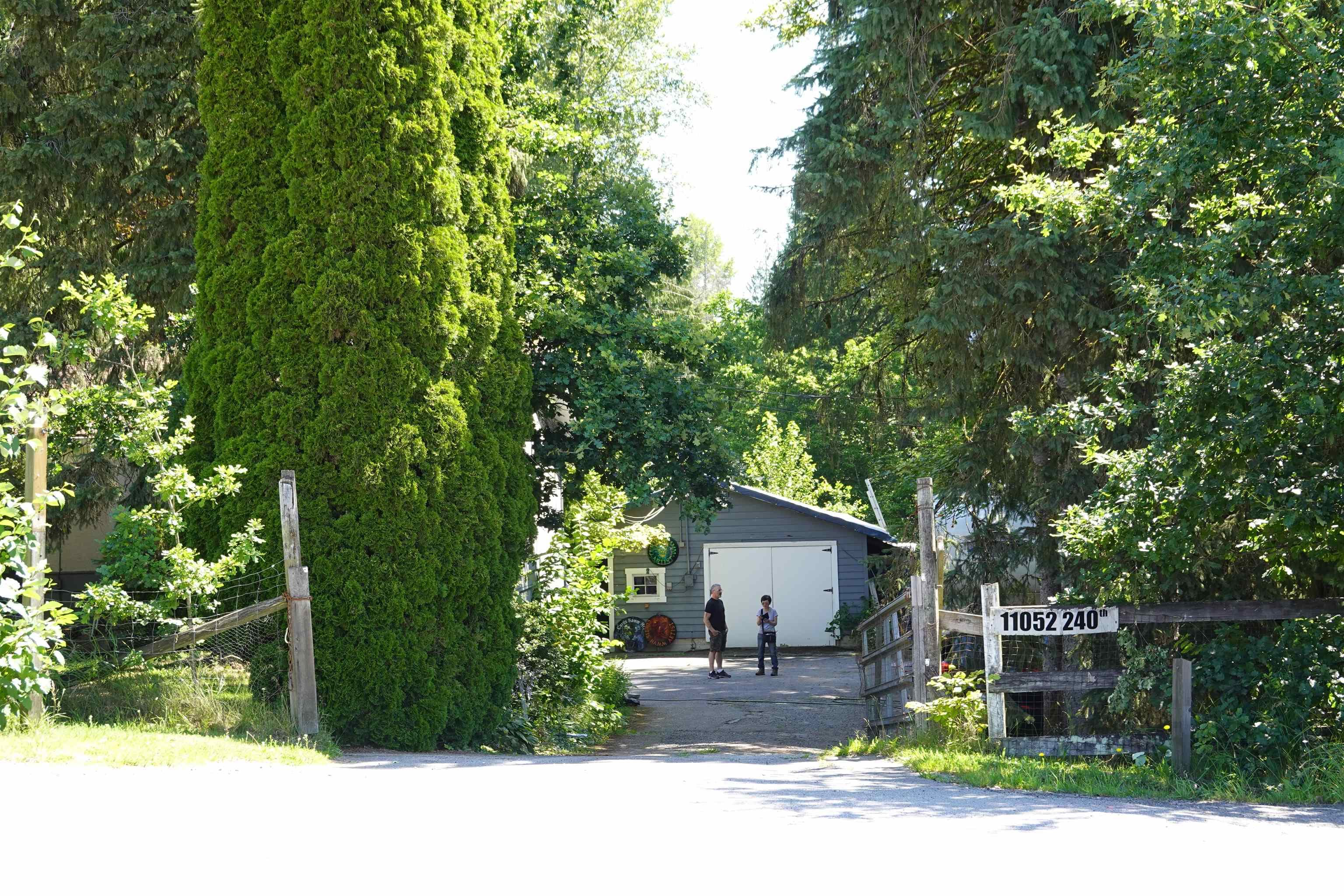 11052 240 Street, Maple Ridge, V2W 1H6 — photo 2