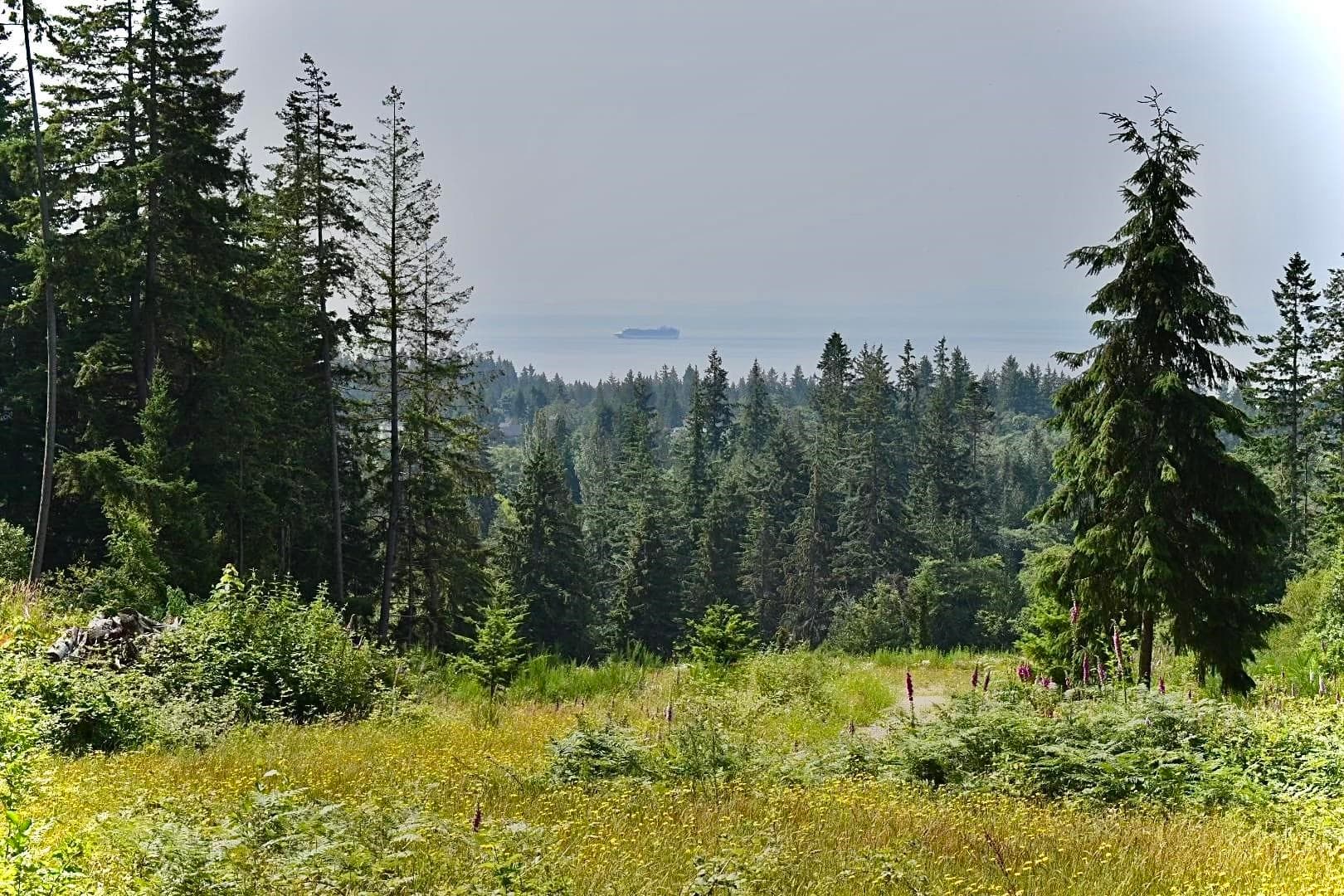 1491 Reed Road, Gibsons