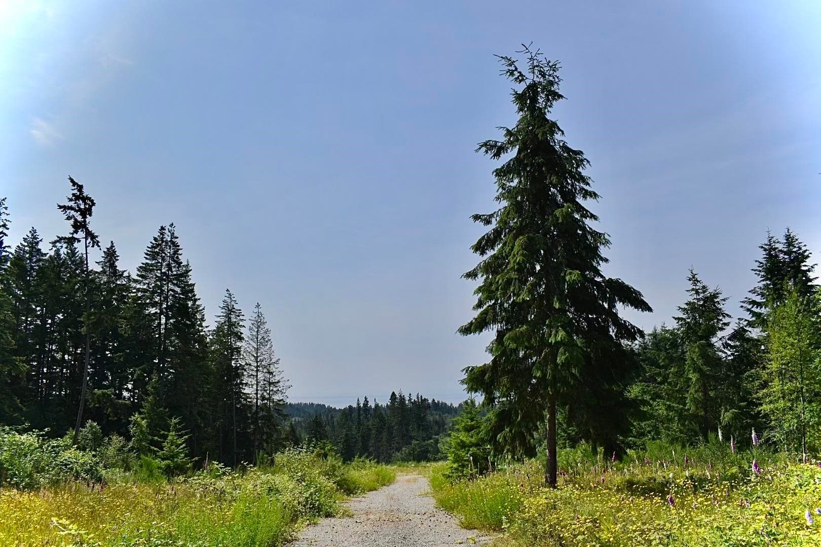 1491 Reed Road, Gibsons, V0N 1V7 — photo 5