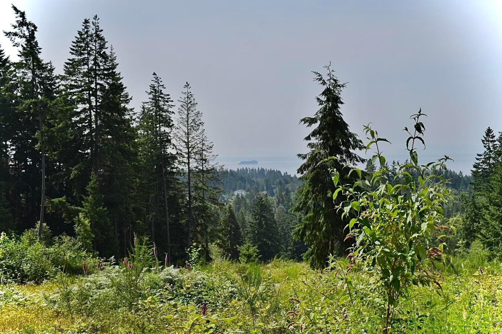 1491 Reed Road, Gibsons, V0N 1V7 — photo 4