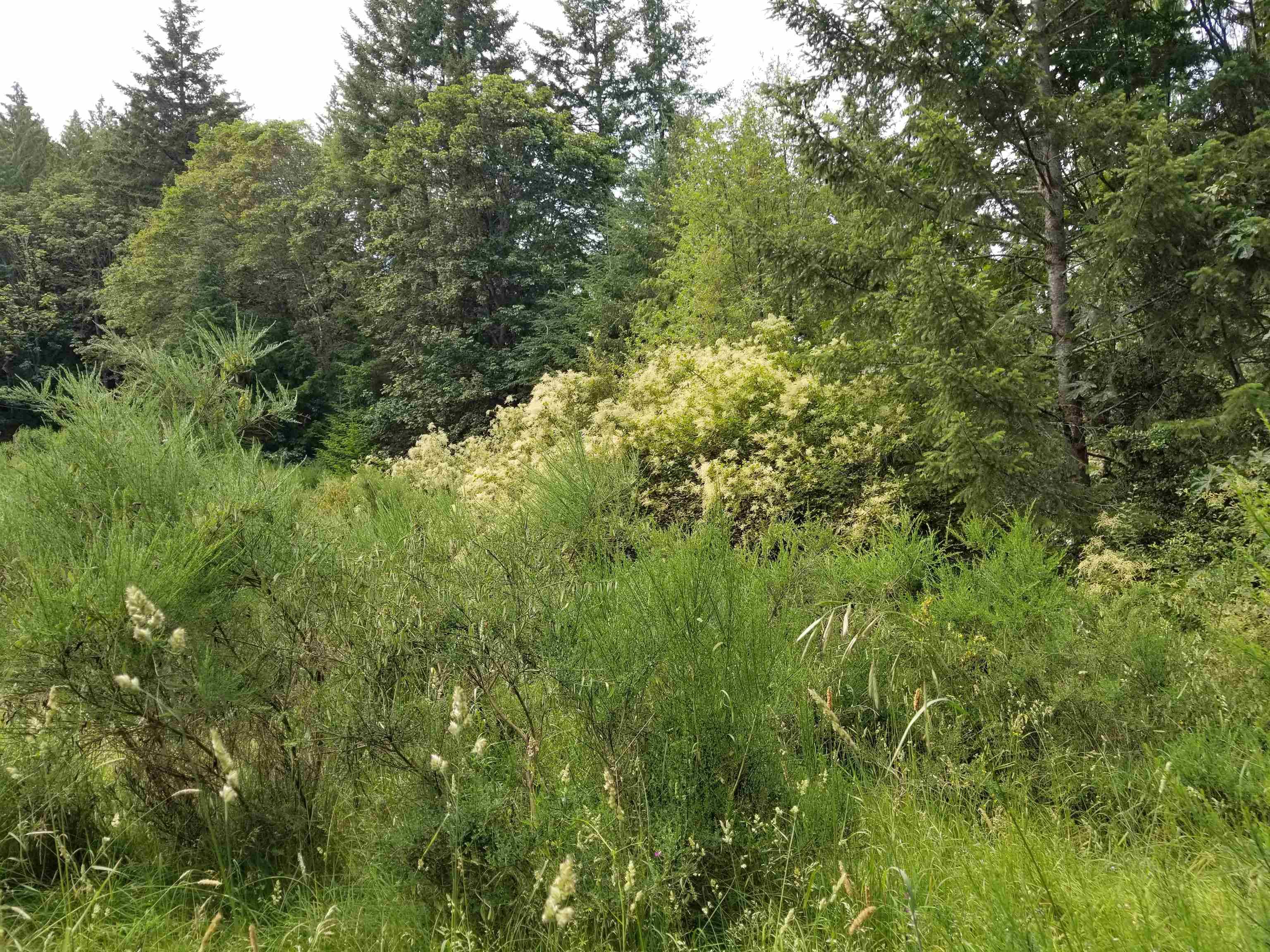 LOT A Lord Road, Galiano Island, V0N 1P0 — photo 2