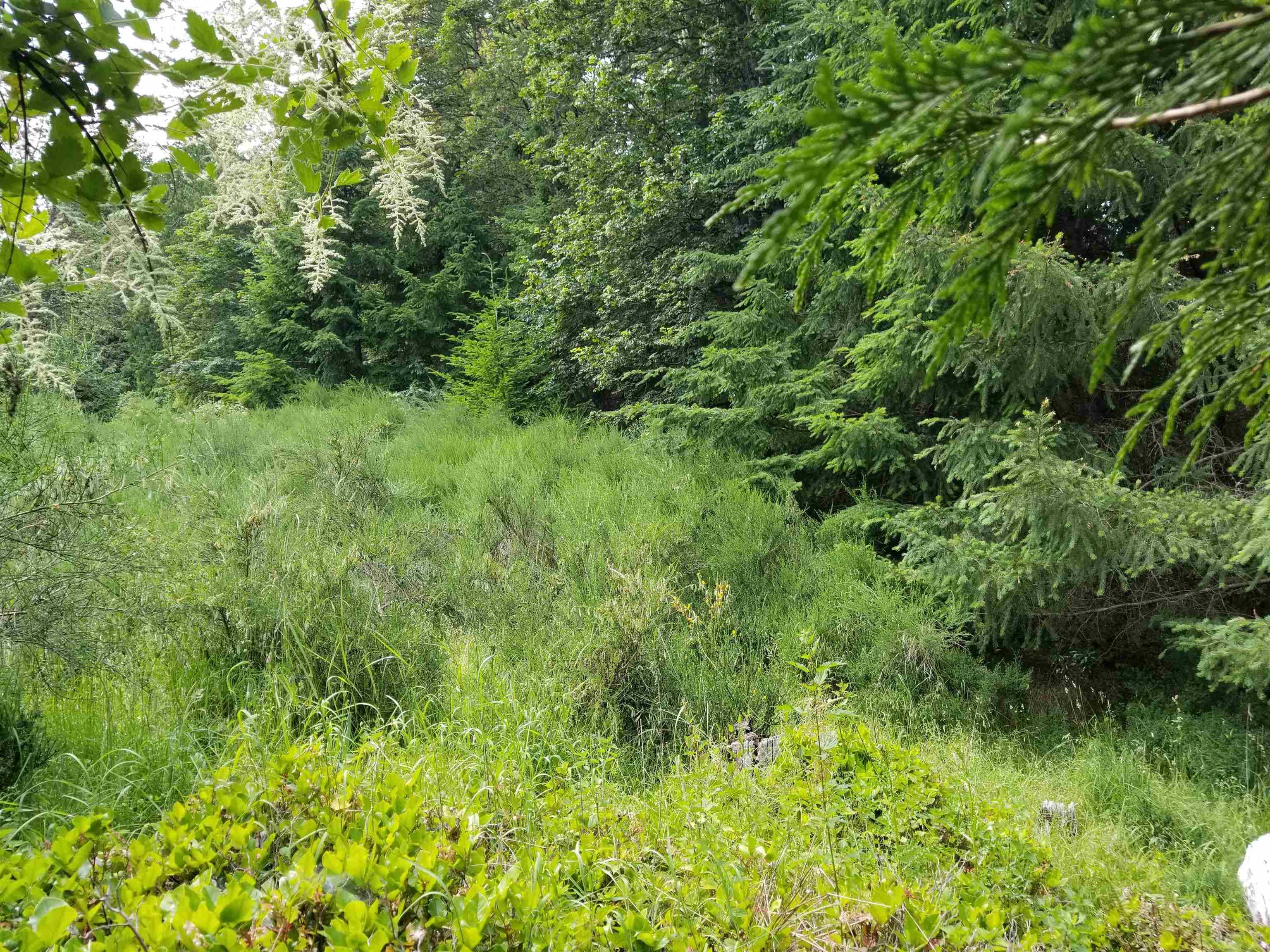 LOT A Lord Road, Galiano Island, V0N 1P0 — photo 5
