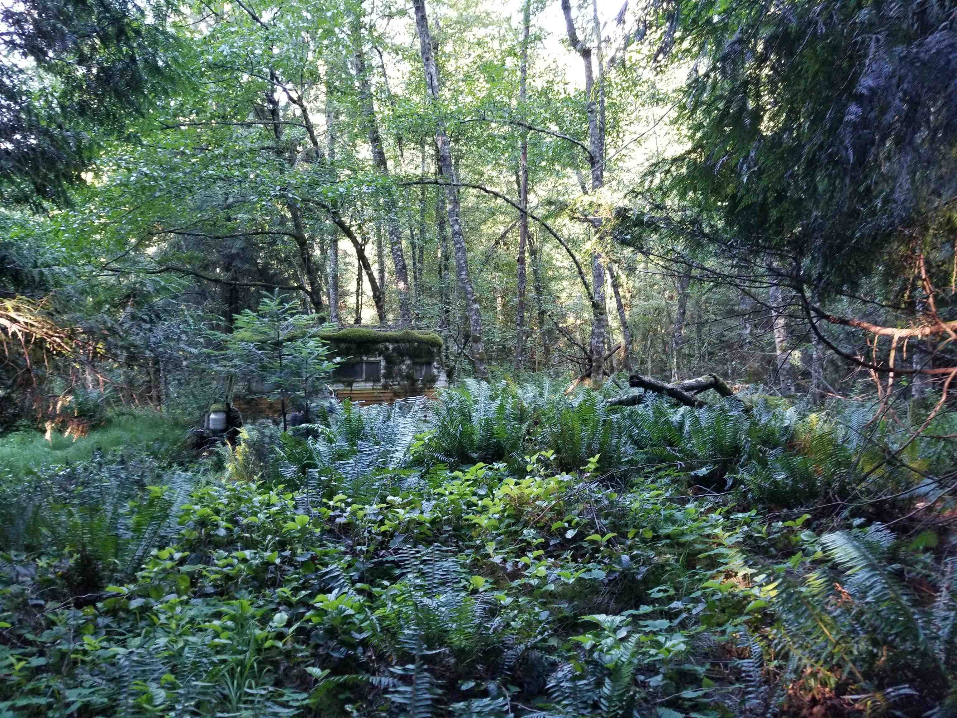 LOT A Lord Road, Galiano Island, V0N 1P0 — photo 4