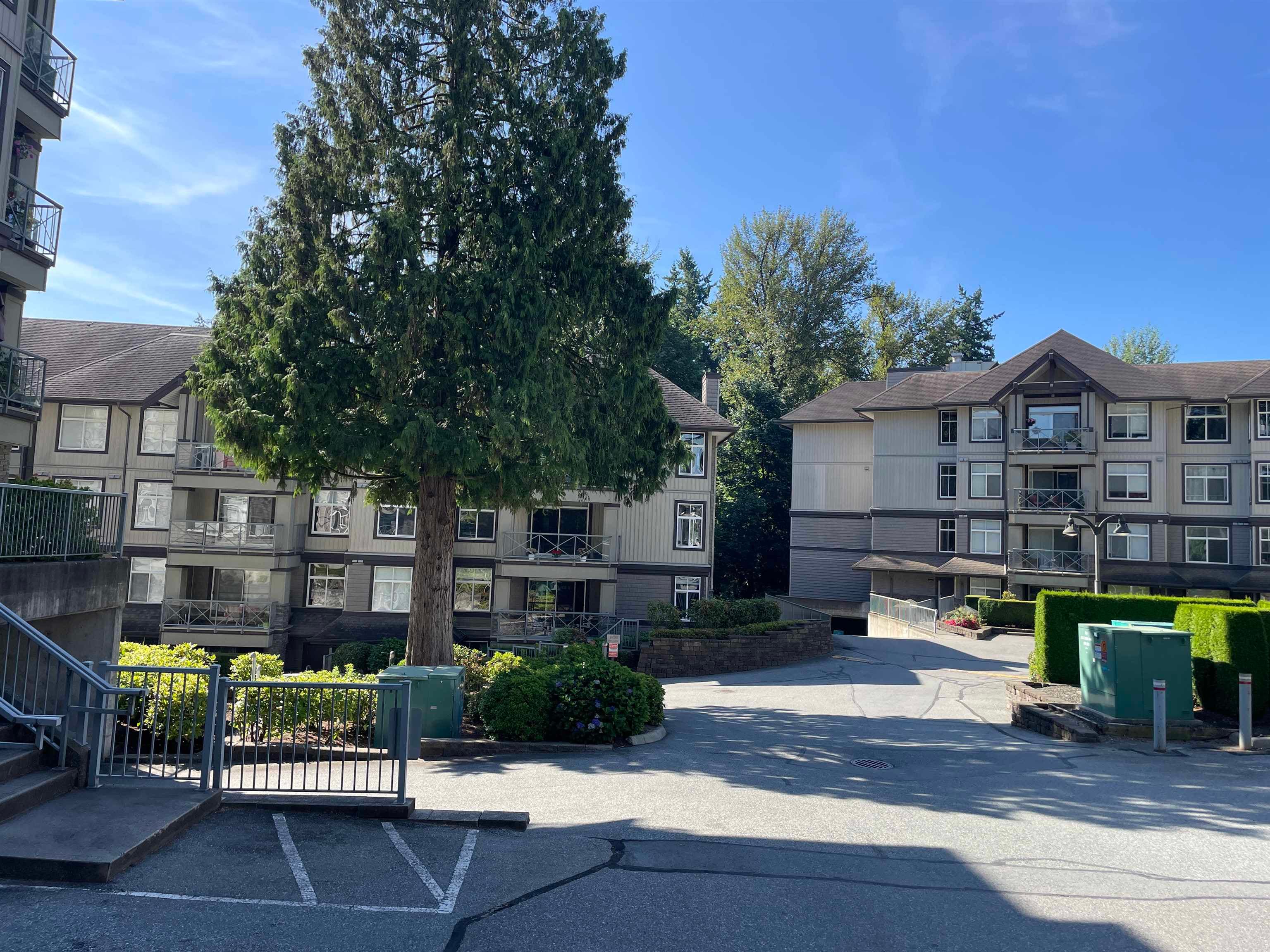 104 - 33338 E Bourquin Crescent, Abbotsford, V2S 1Y1 — photo 2