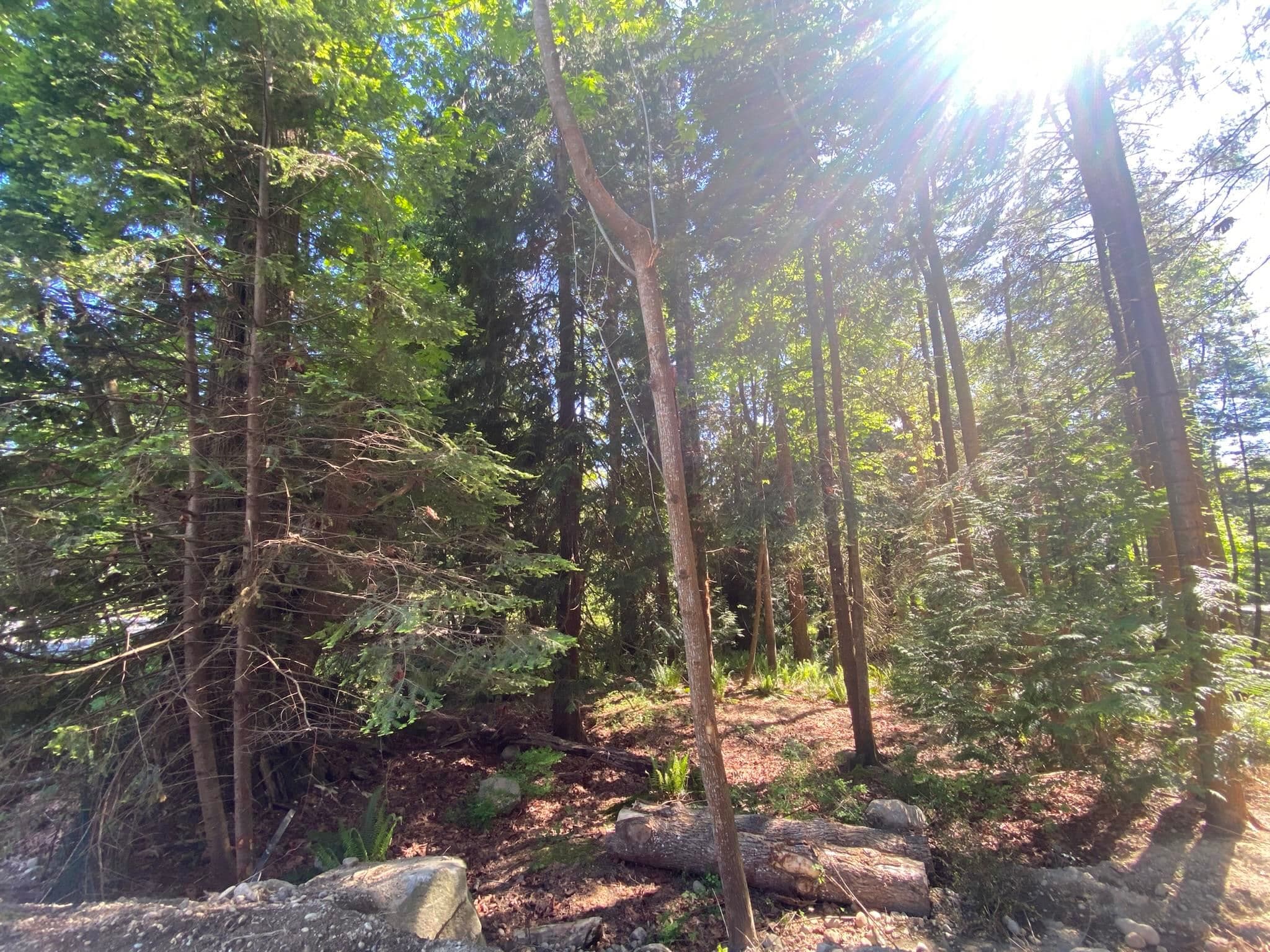 Lot B Grandview Road, Gibsons, V0N 1V5 — photo 5