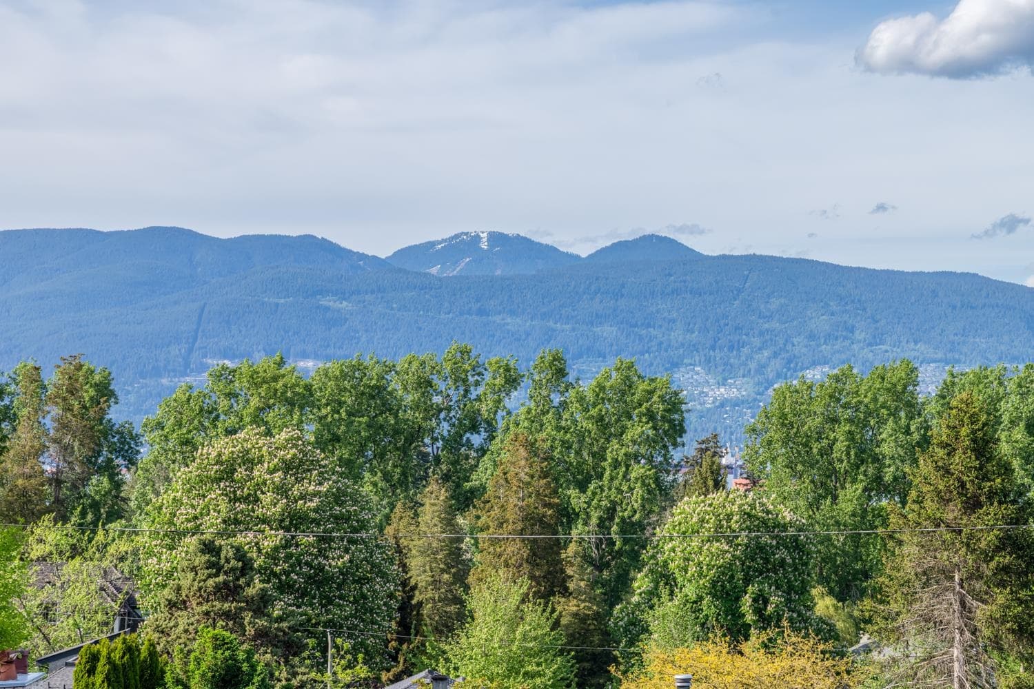 4389 Locarno Crescent, Vancouver, V6R 1G2 — photo 4