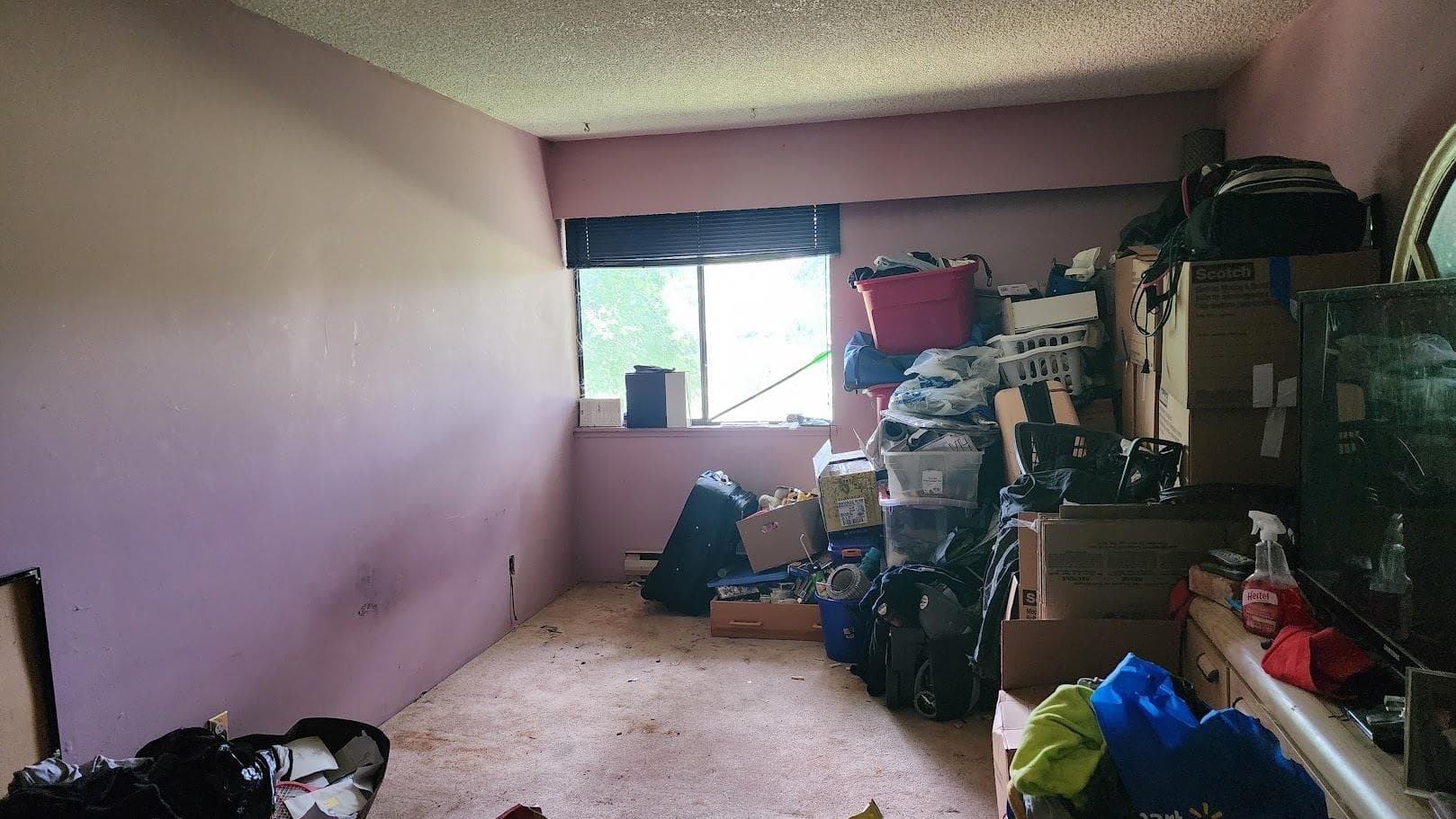 204 - 3391 Springfield Drive, Richmond, V7E 1Y9 — photo 5