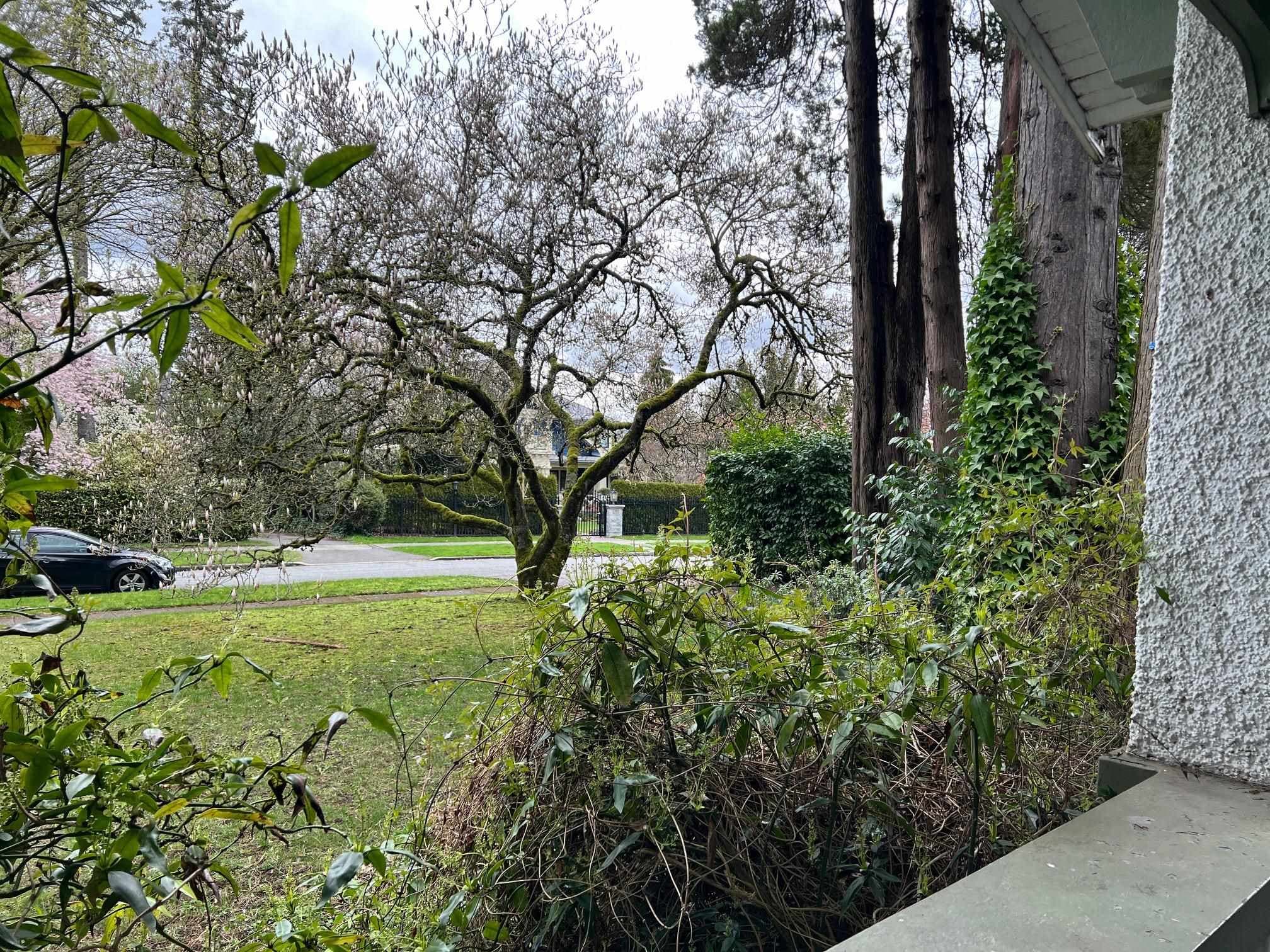 1384 W 32nd Avenue, Vancouver, V6H 2J3 — photo 3