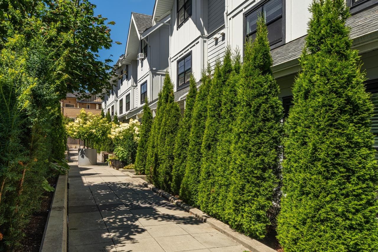 402 - 6933 Arcola Street, Burnaby, V5E 1H5 — photo 2