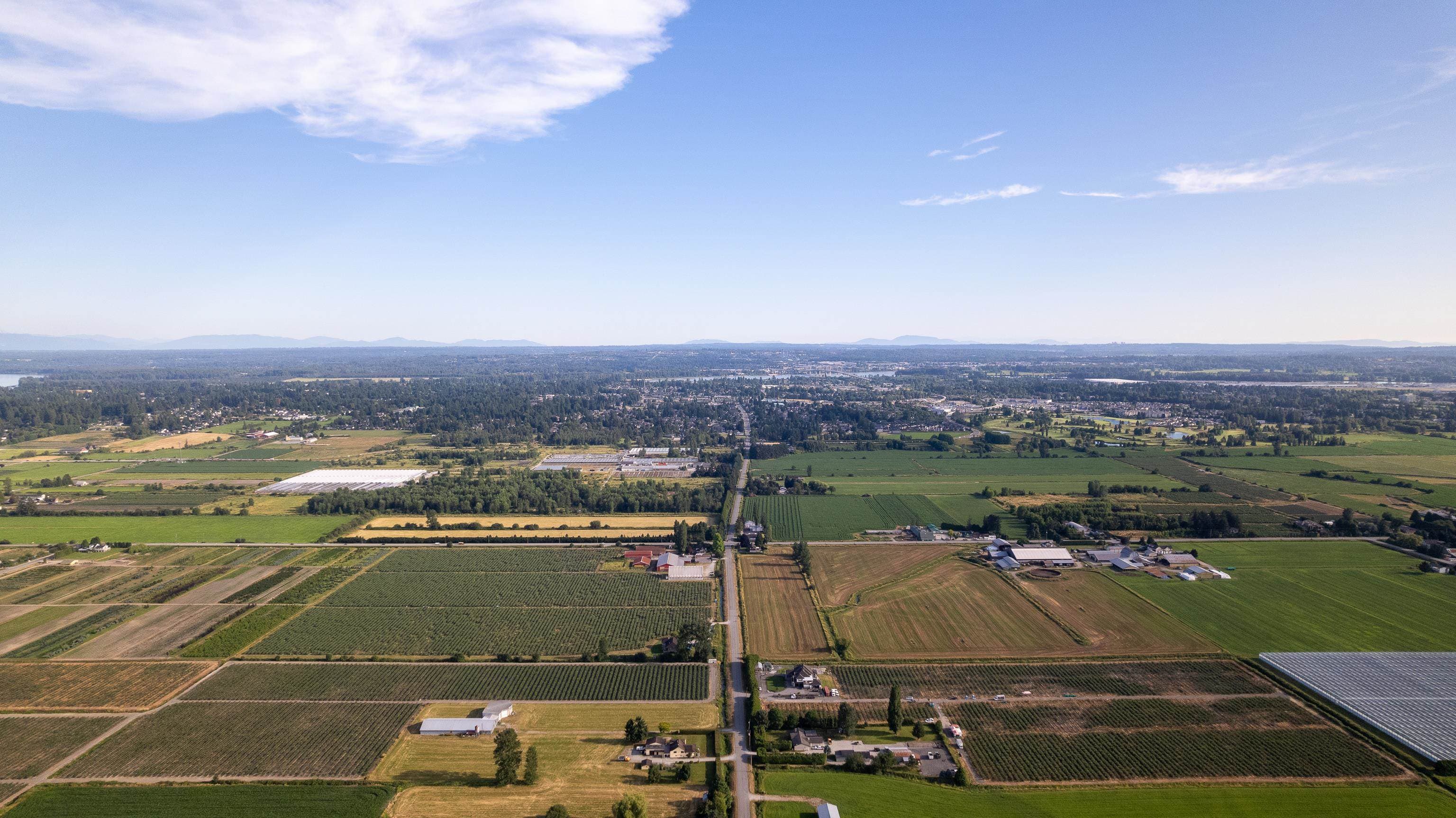 20254 Old Dewdney Trunk Road, Pitt Meadows, V3Y 1Z1 — photo 4