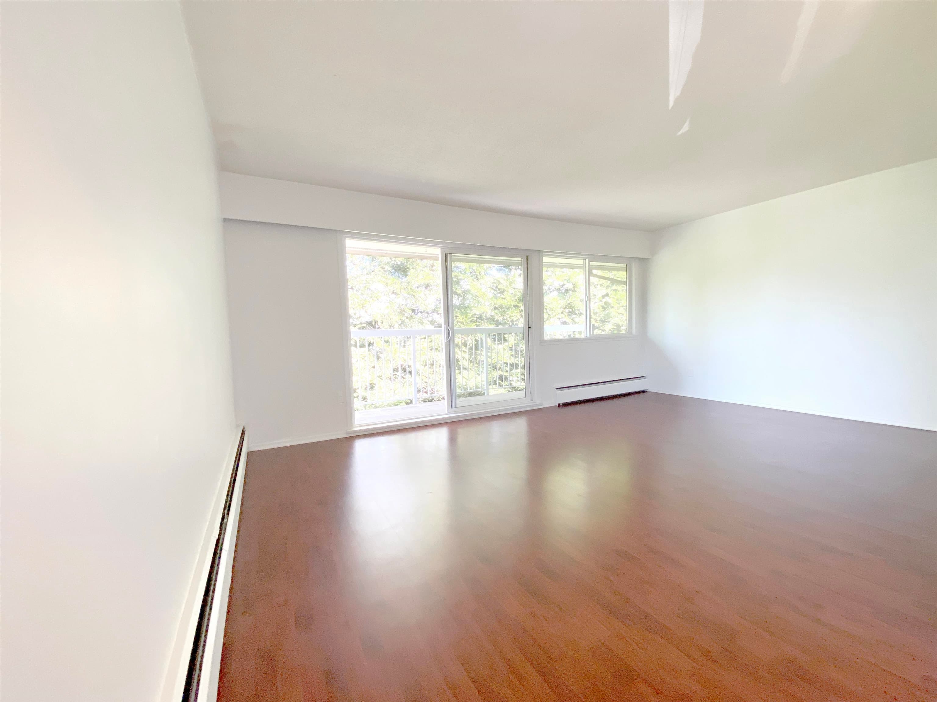 8020 Ryan Road, Richmond, V7A 2E5 — photo 3