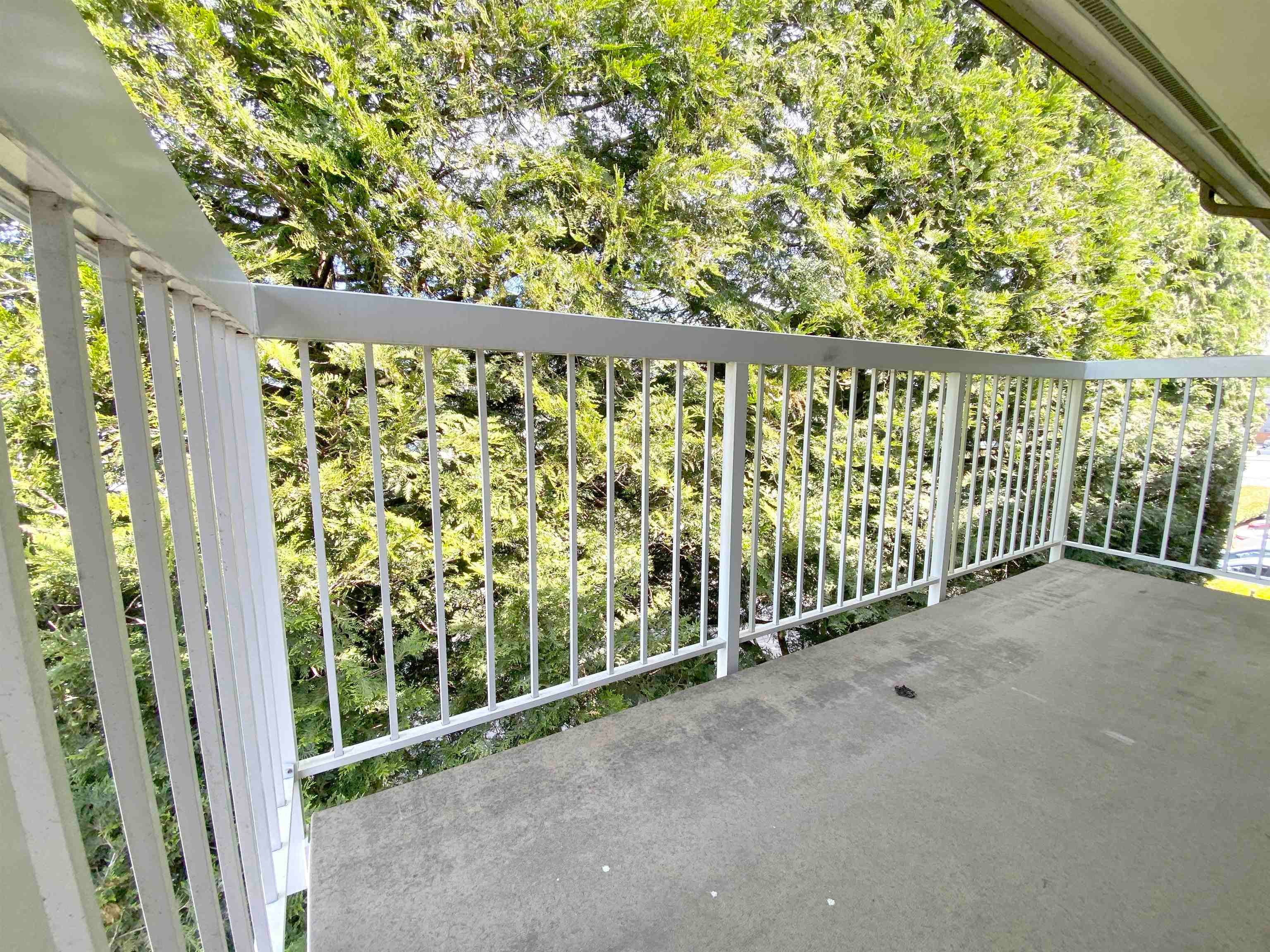 8020 Ryan Road, Richmond, V7A 2E5 — photo 4