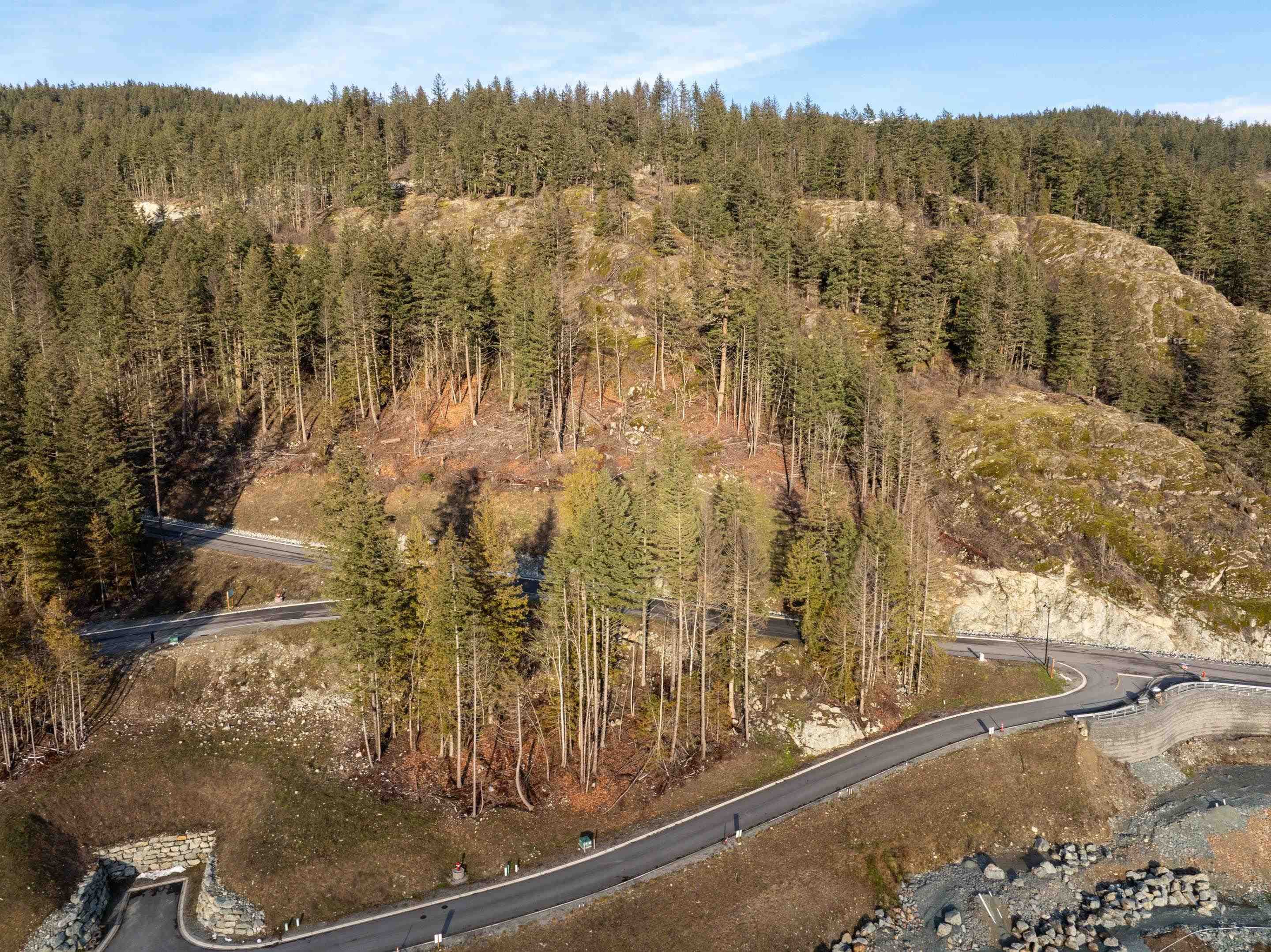 8200 Merlot Peak Drive, Pemberton, V0N 2L0 — photo 2