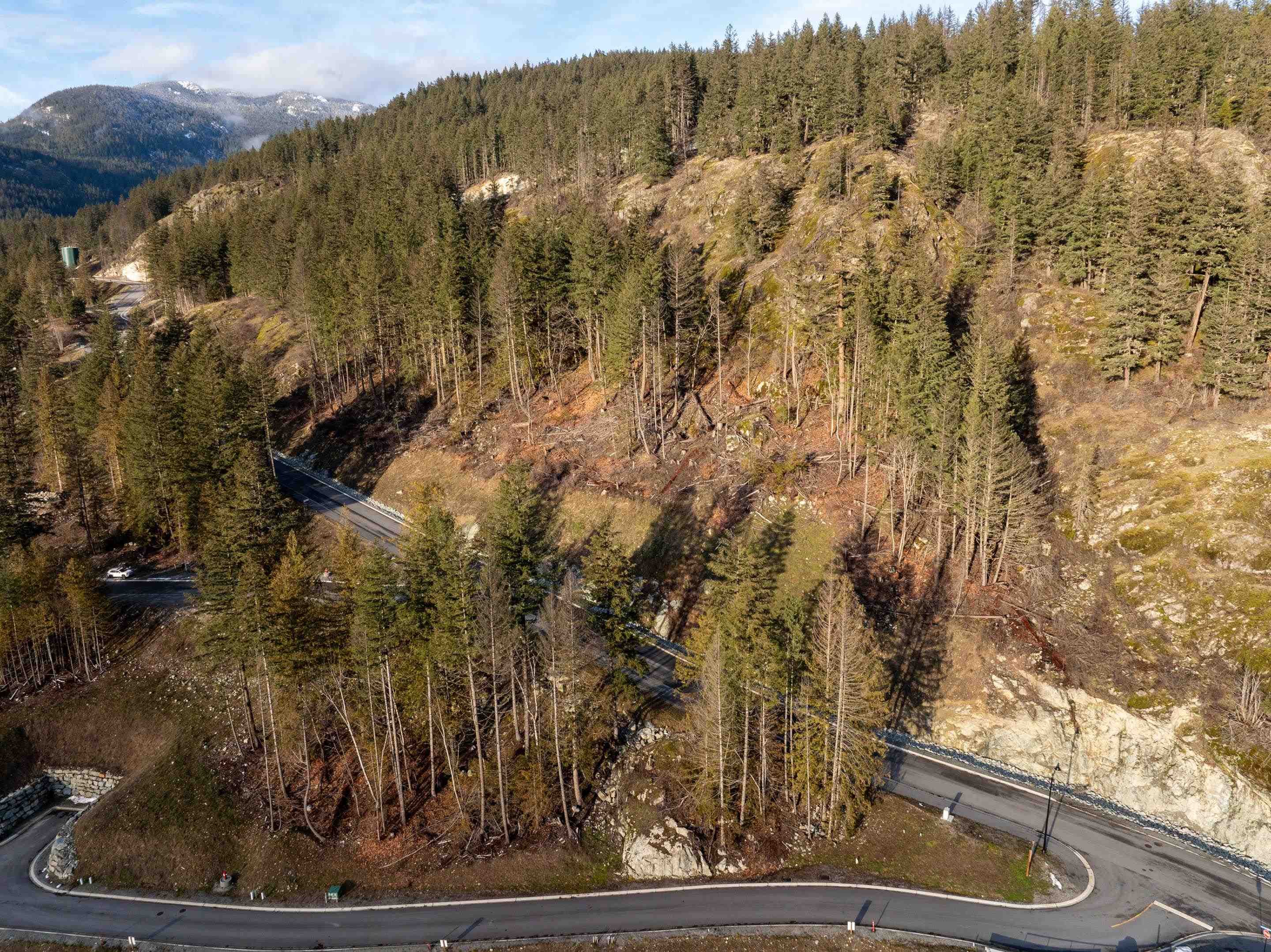 8200 Merlot Peak Drive, Pemberton, V0N 2L0 — photo 3