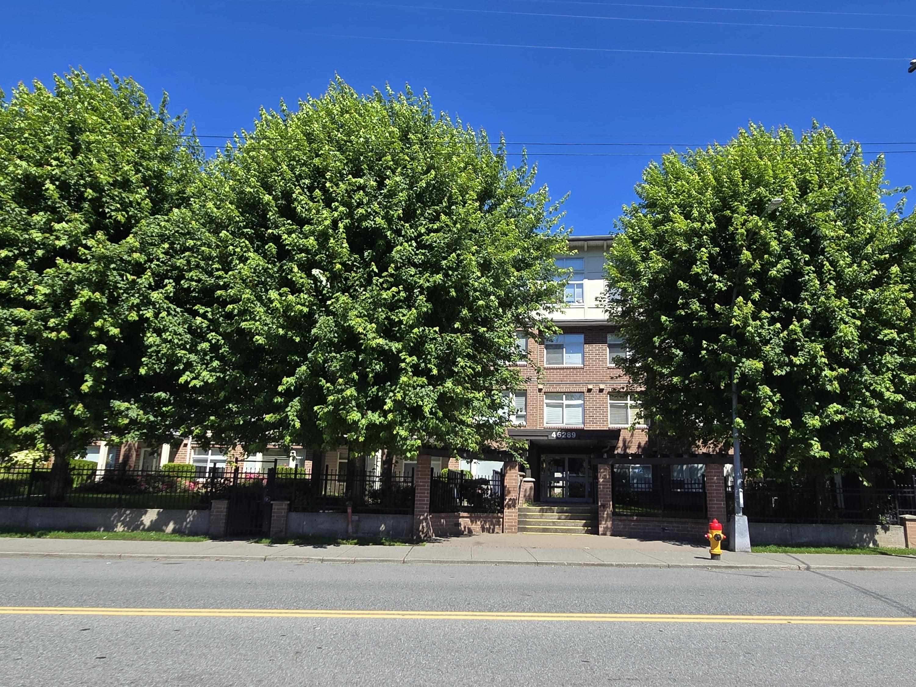 116 - 46289 Yale Road, Chilliwack, V2P 0B9 — photo 3