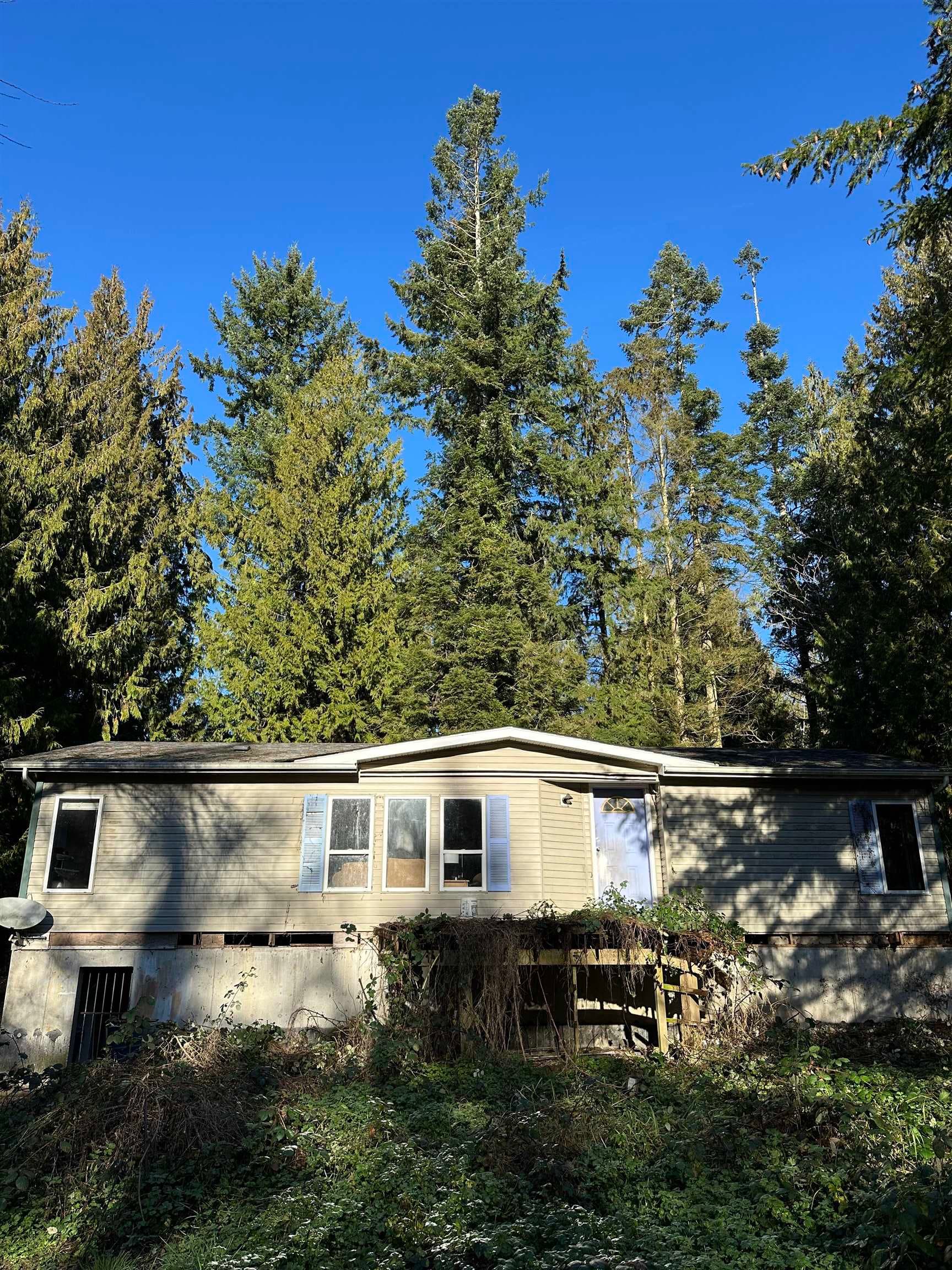 28444 Bell Avenue, Maple Ridge — sold