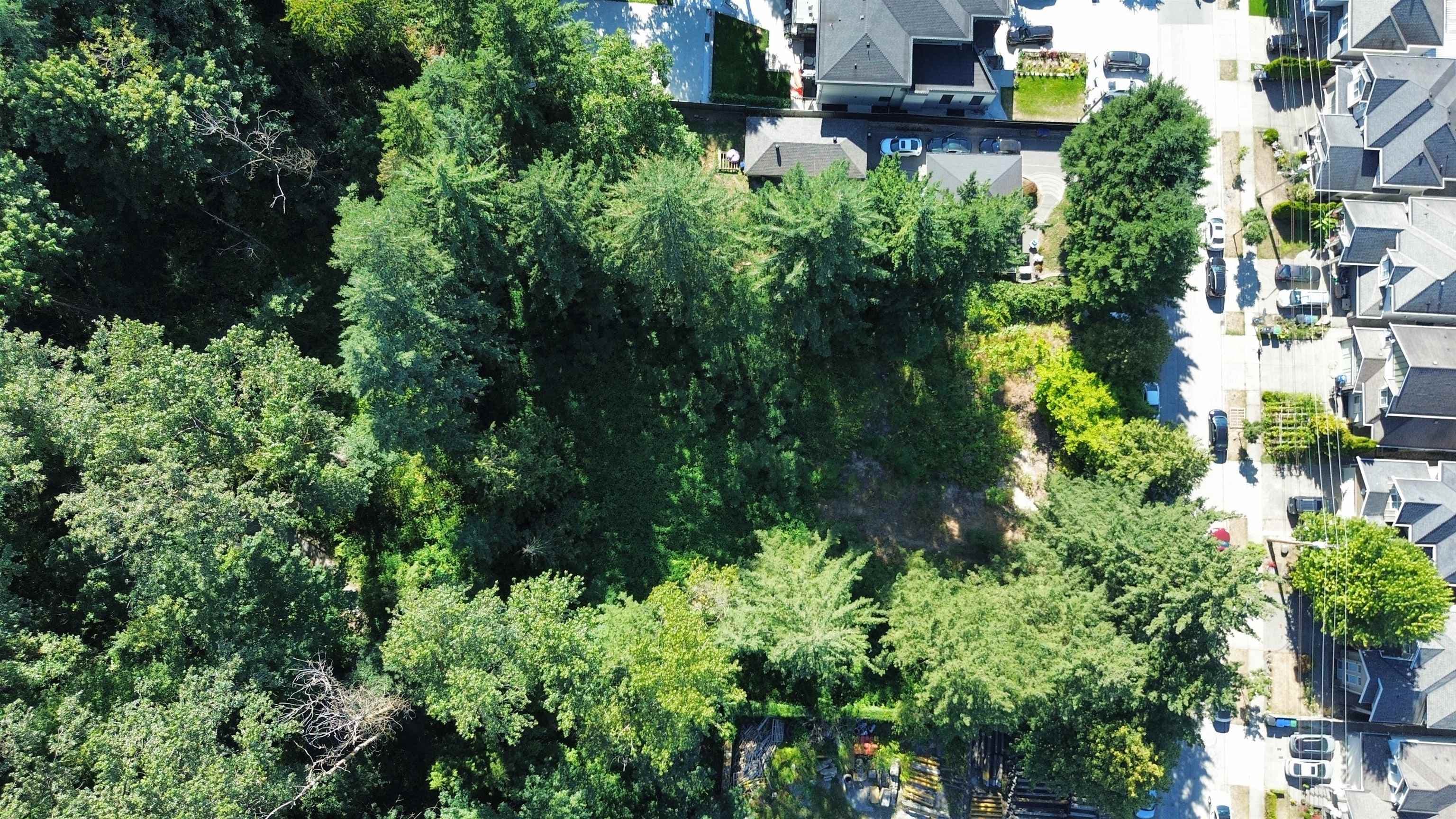 10927 128a Street, Surrey, V3T 3G1 — photo 3