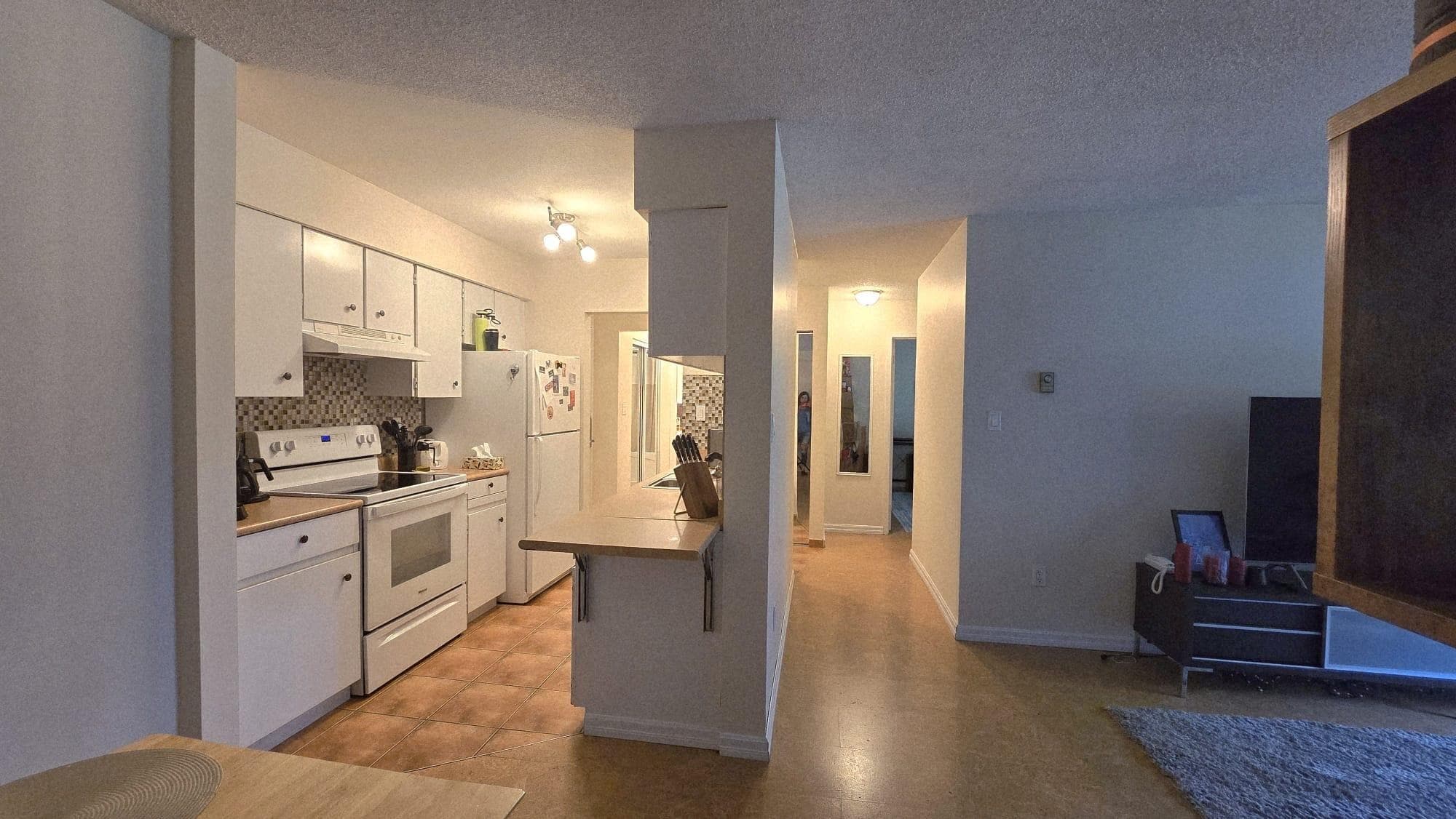 303 - 9857 Manchester Drive, Burnaby, V3N 4P5 — photo 5
