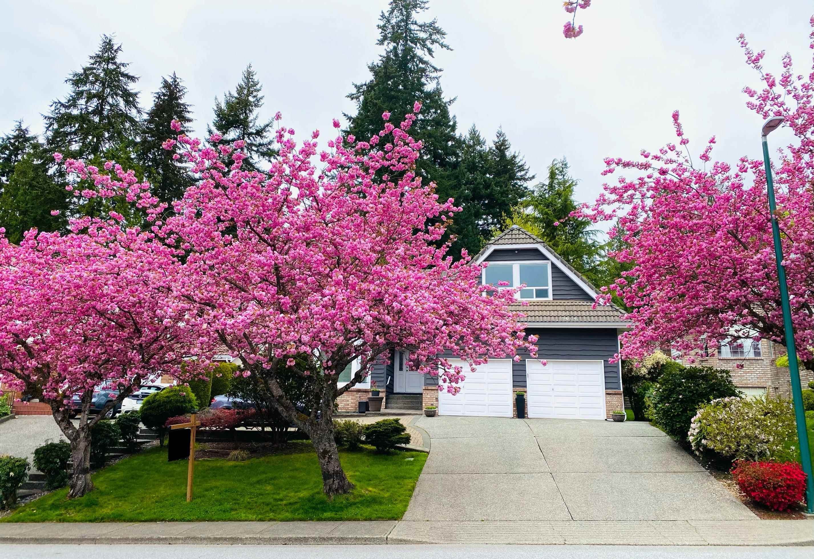 2443 Leclair Drive, Coquitlam, V3K 6G7 — photo 4