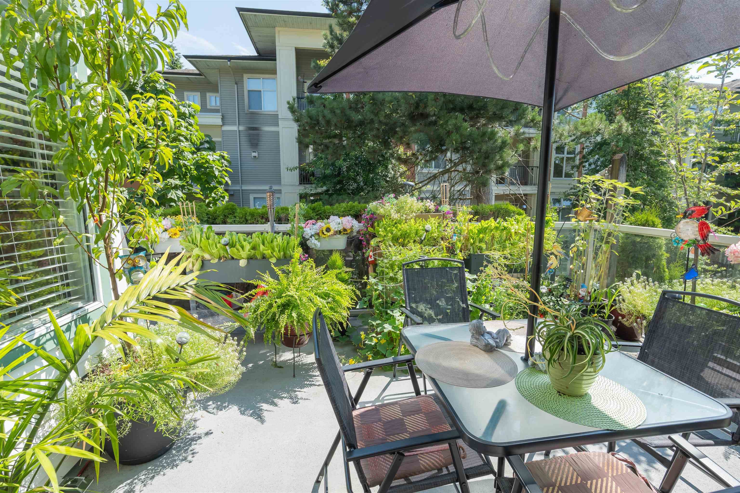 109 - 7554 Briskham Street, Mission, V2V 3L9 — photo 5