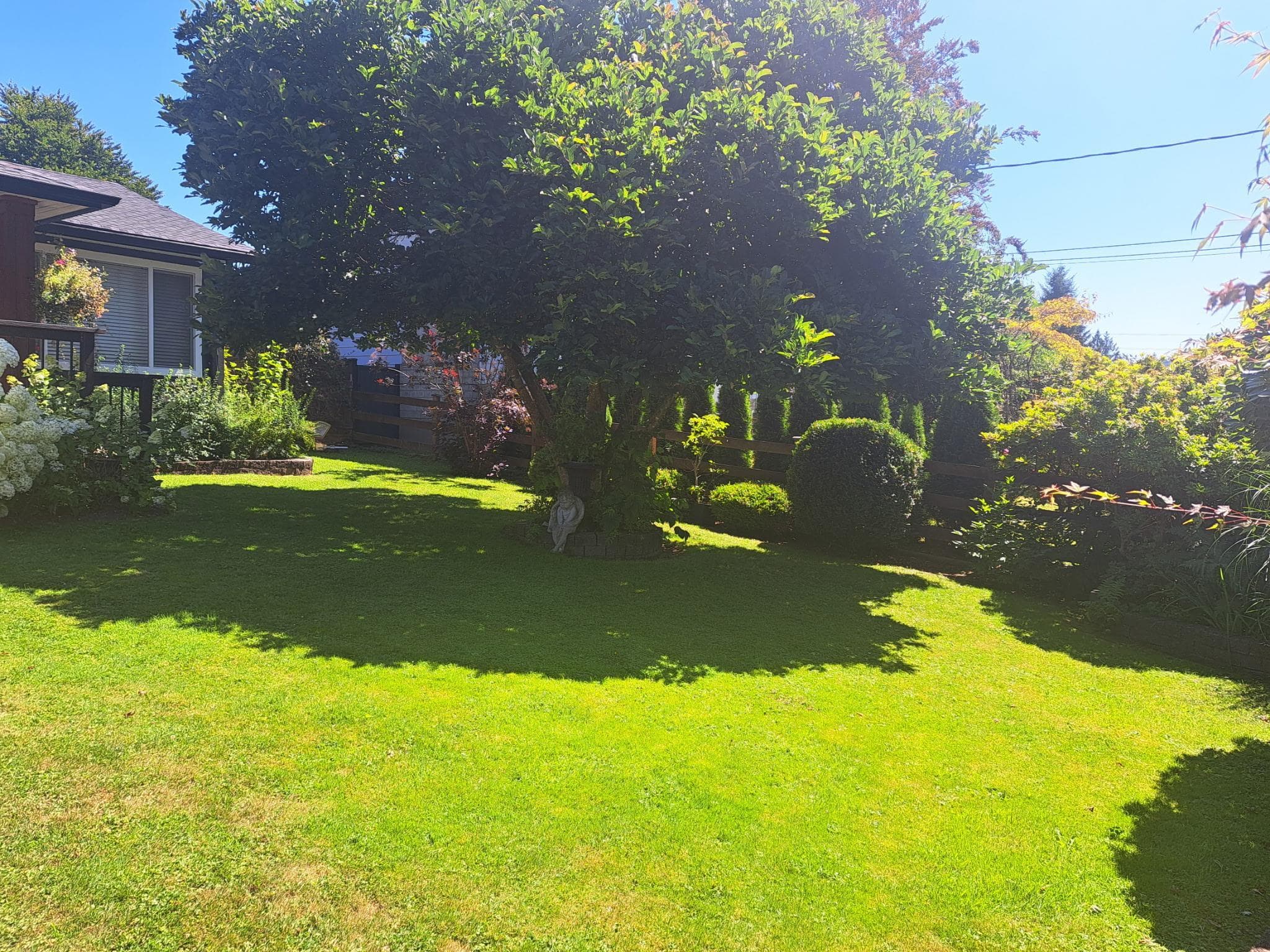 12082 261 Street, Maple Ridge, V2W 2A6 — photo 4